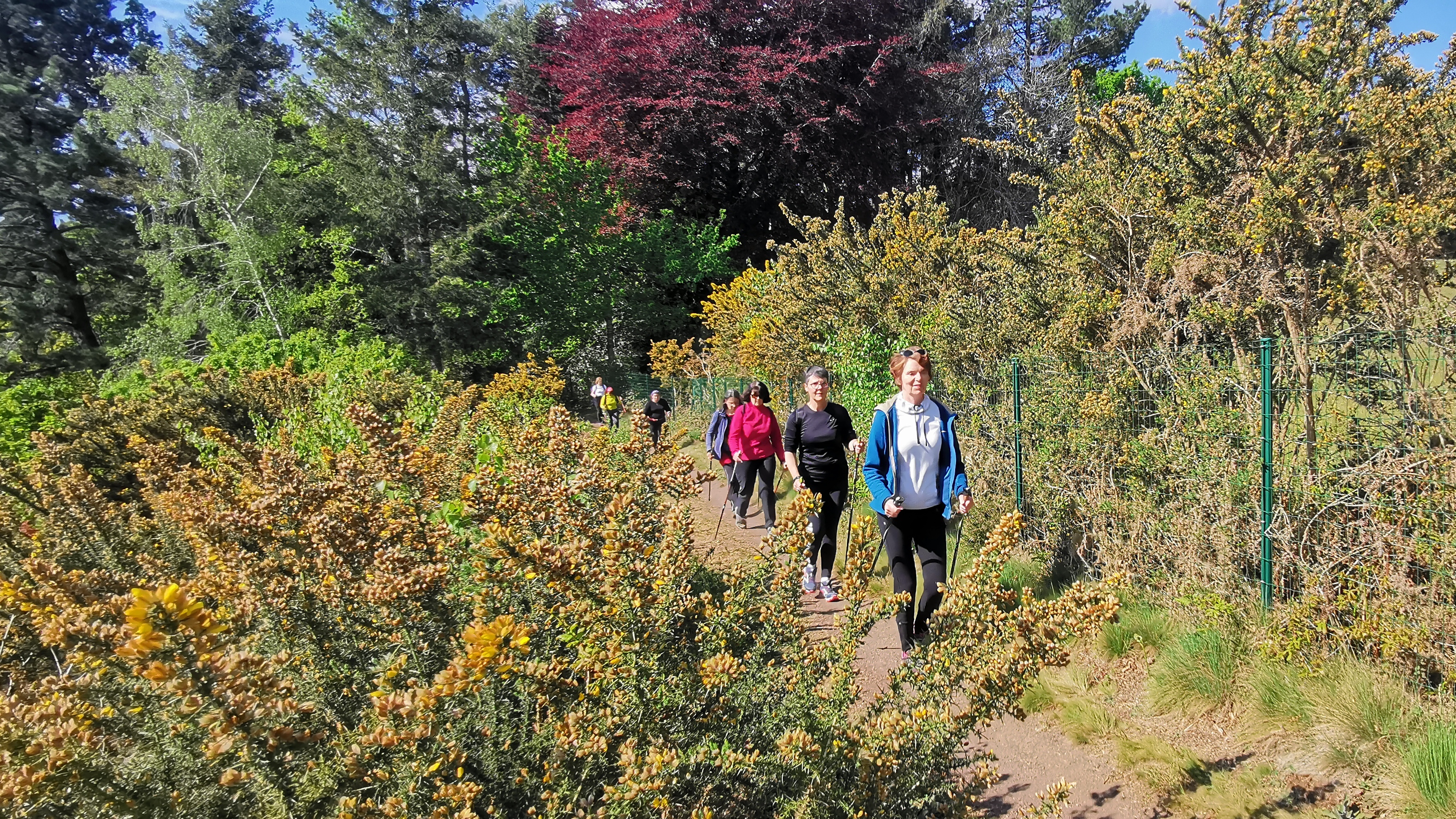 53-IMG_20210501_111929