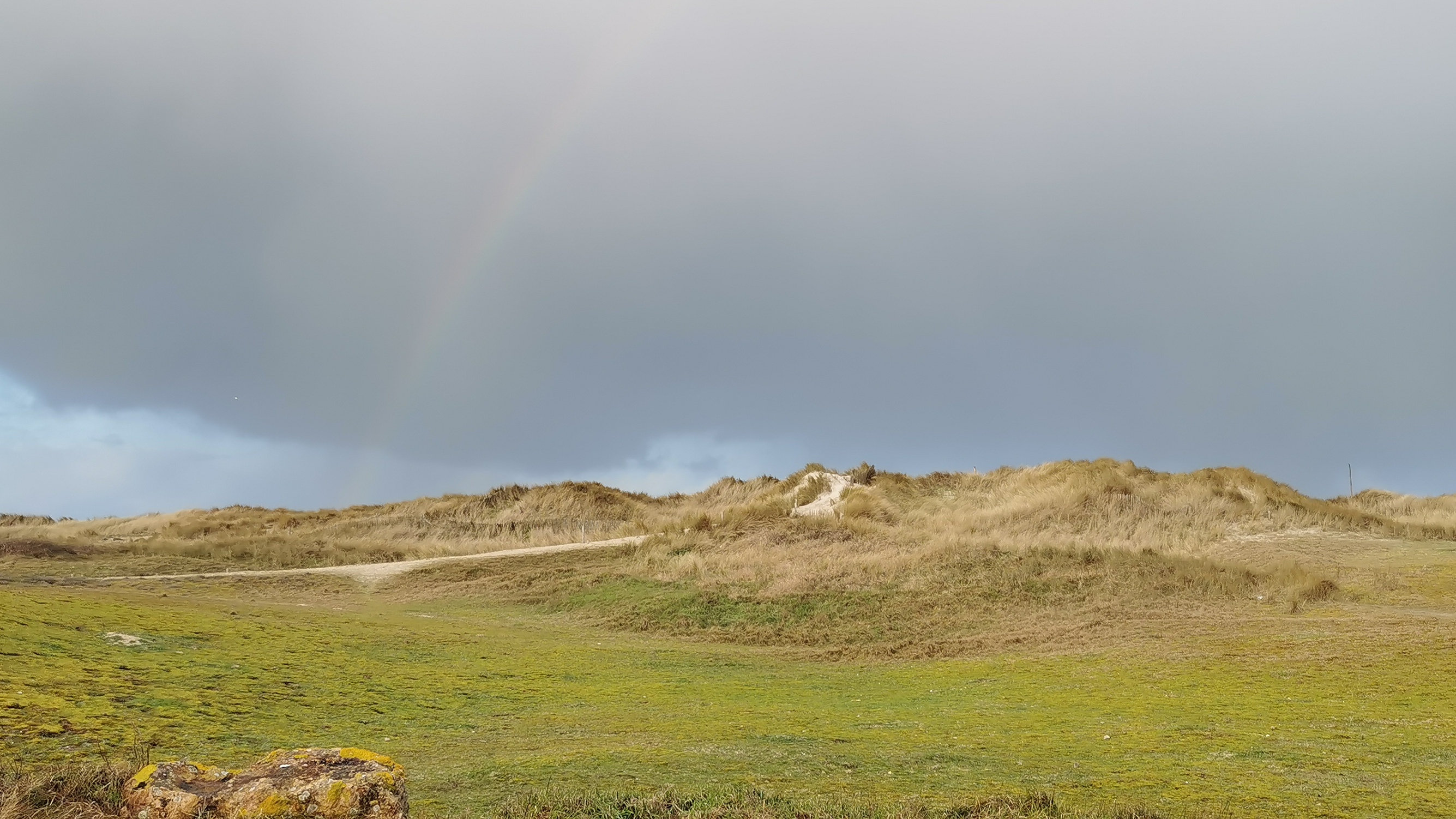 15-IMG_20210124_100853