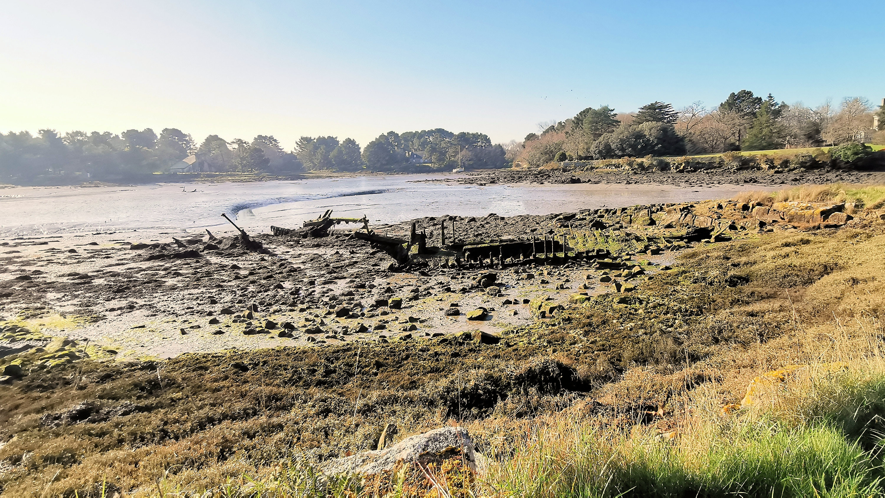 080-IMG_20210228_105640