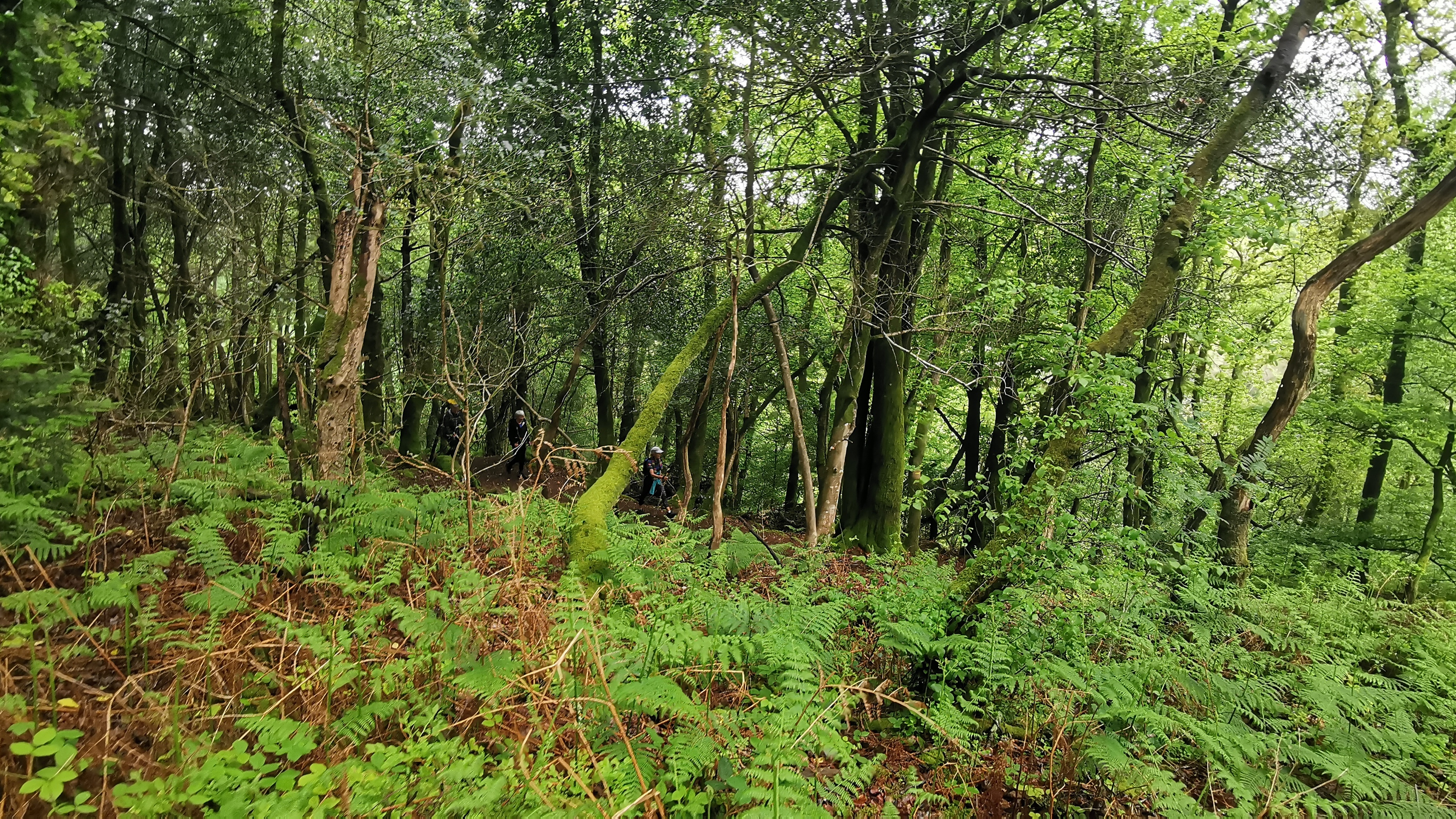 114-IMG_20210513_112854_1