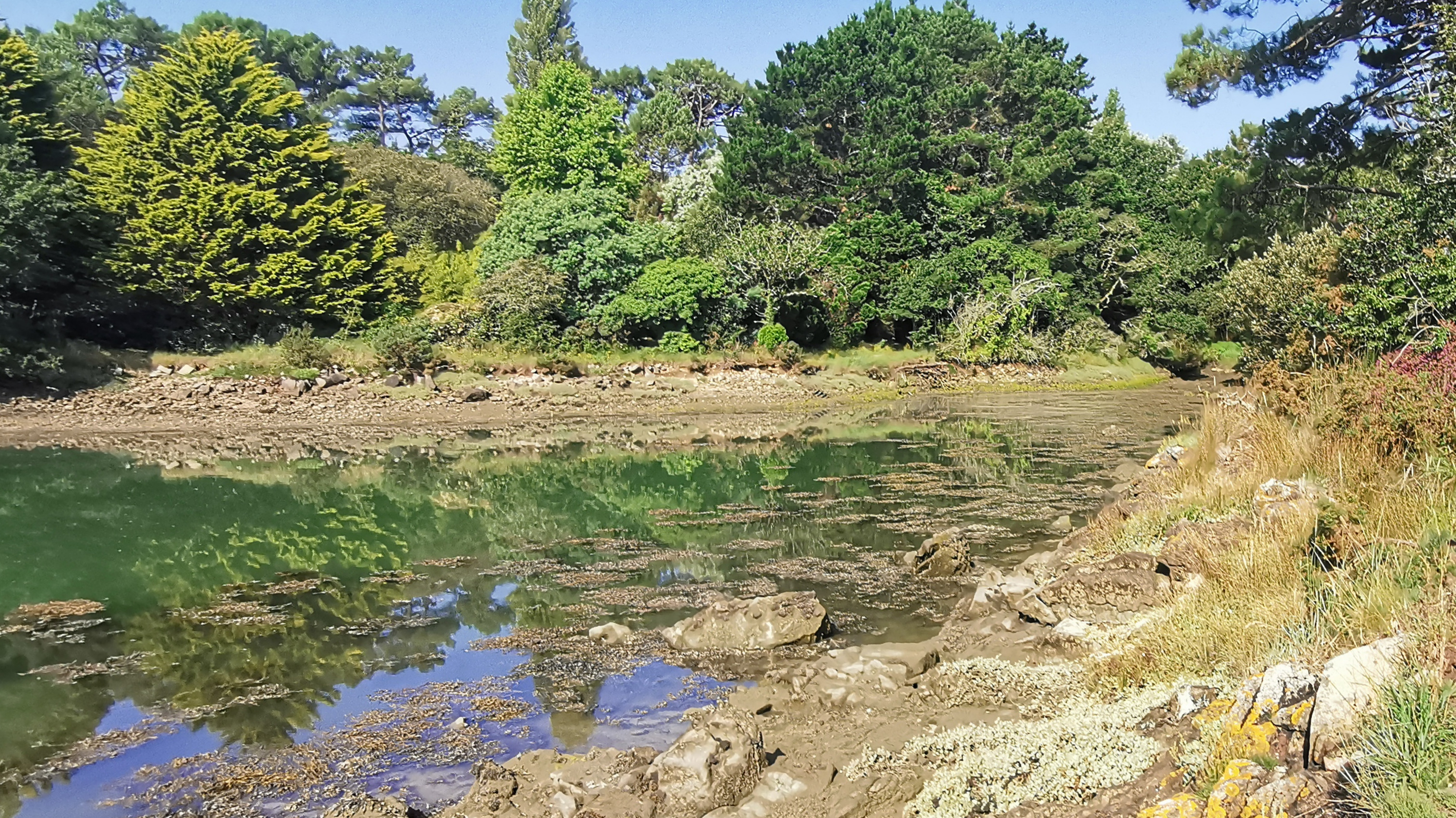 052-IMG_20210718_102456_1