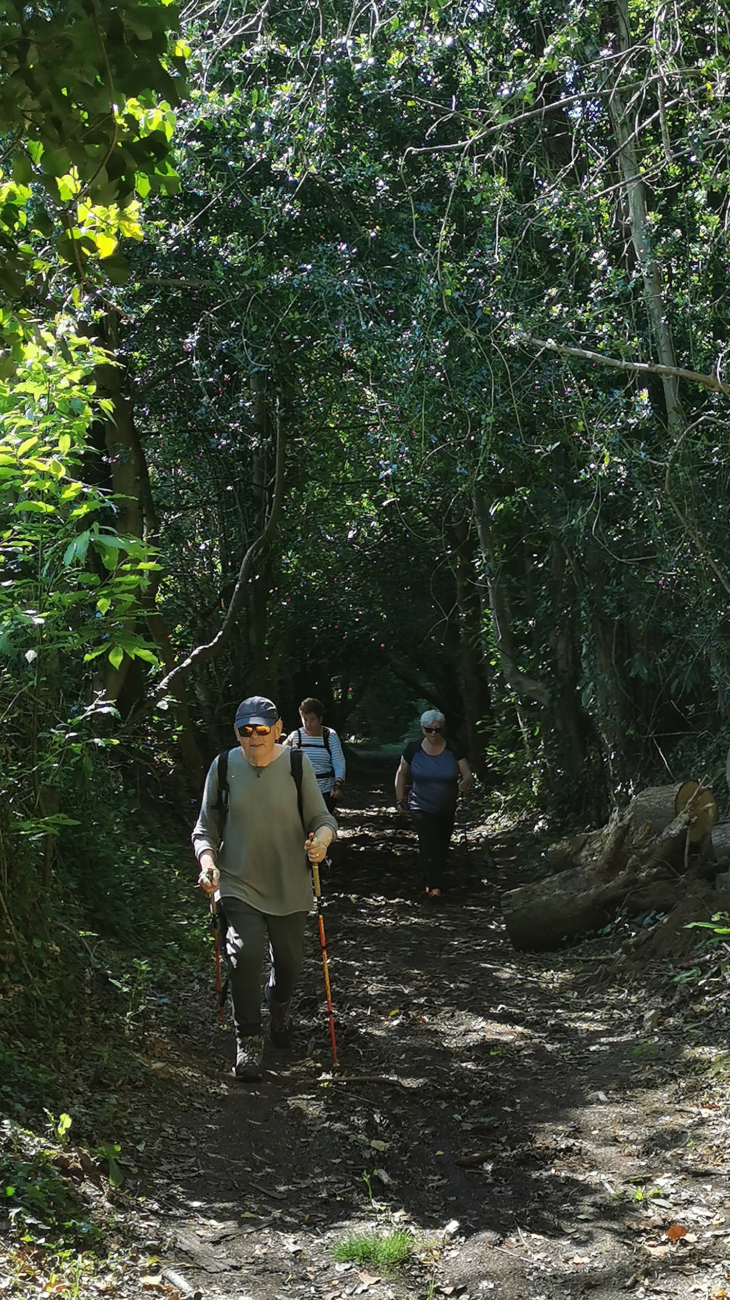 52-IMG_20210531_111705