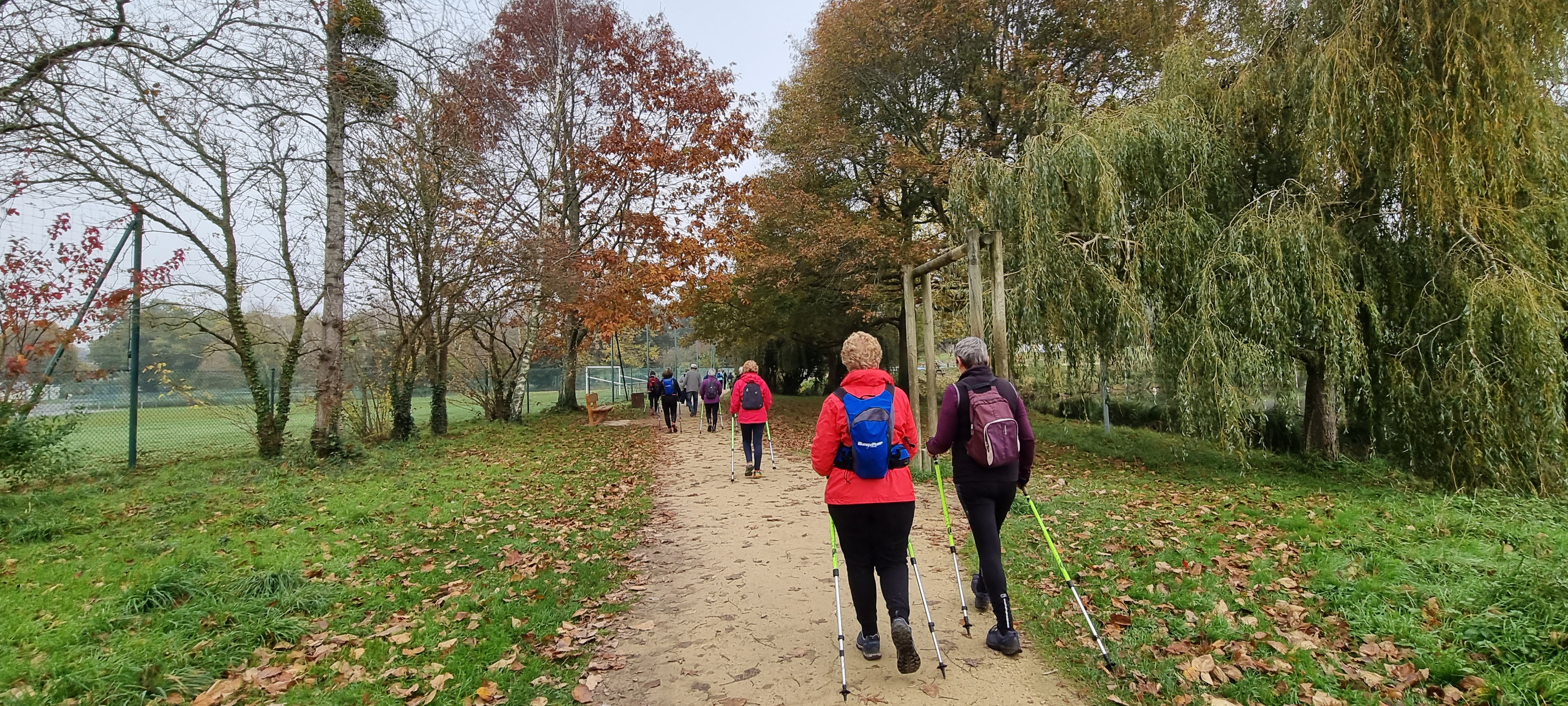 29-20211108_110506(0)