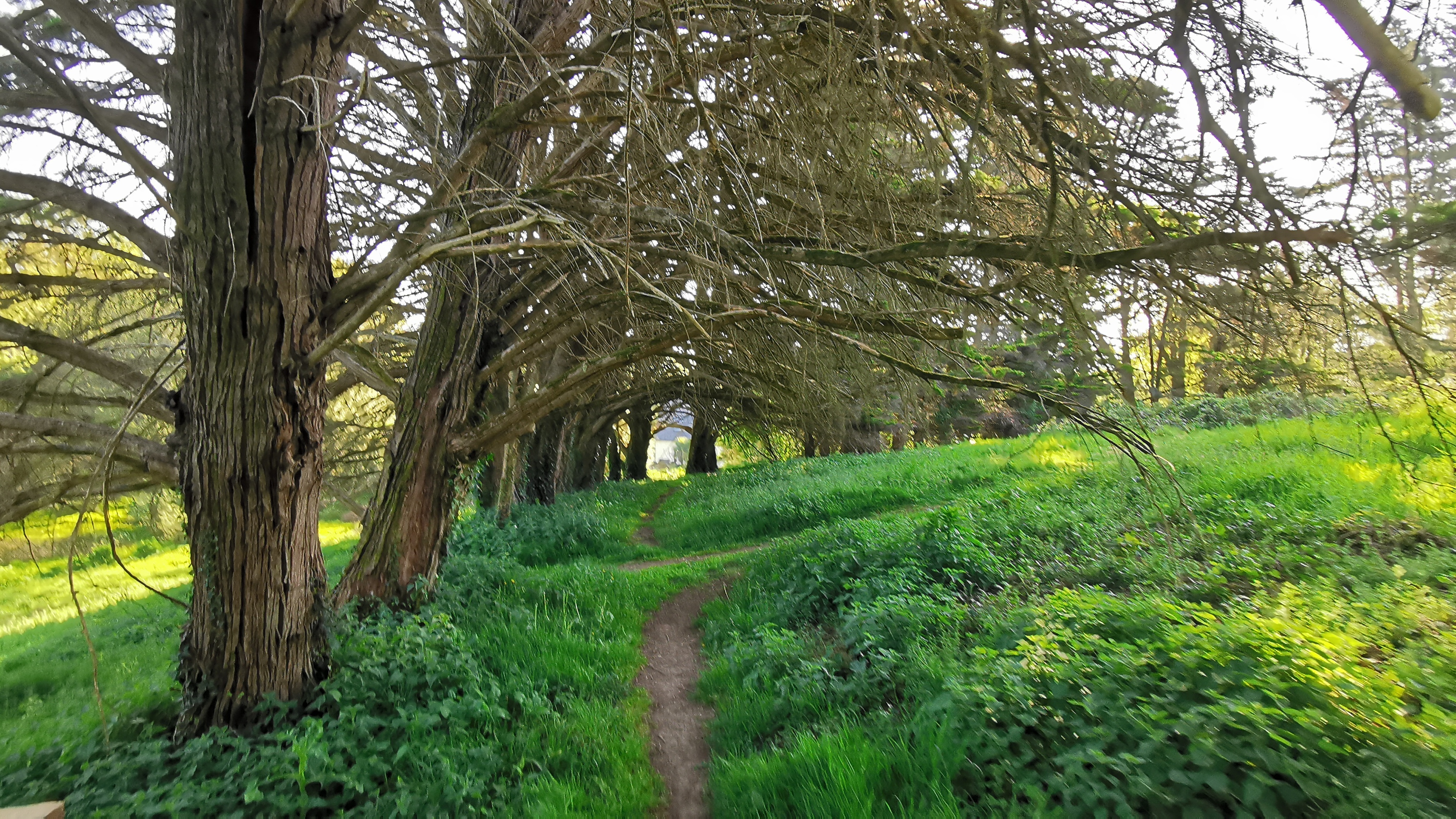 05-IMG_20210425_095012