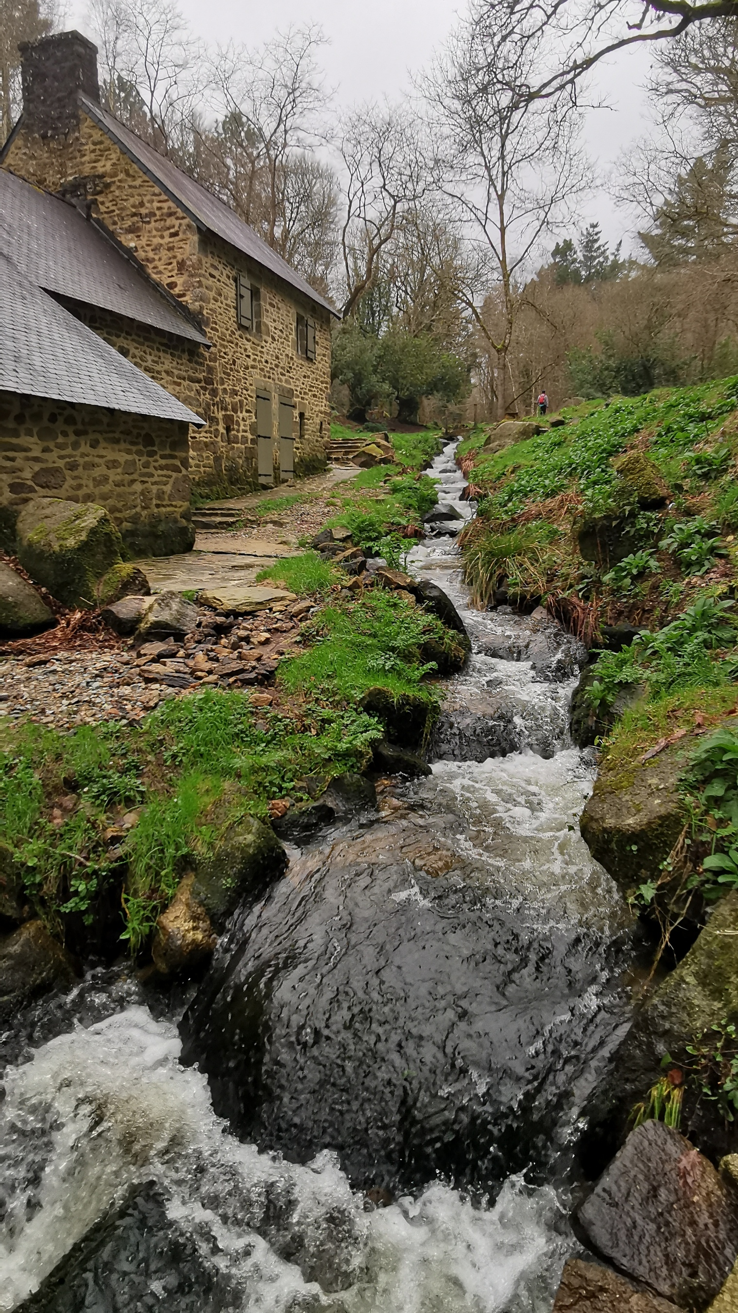 104-IMG_20210220_115502