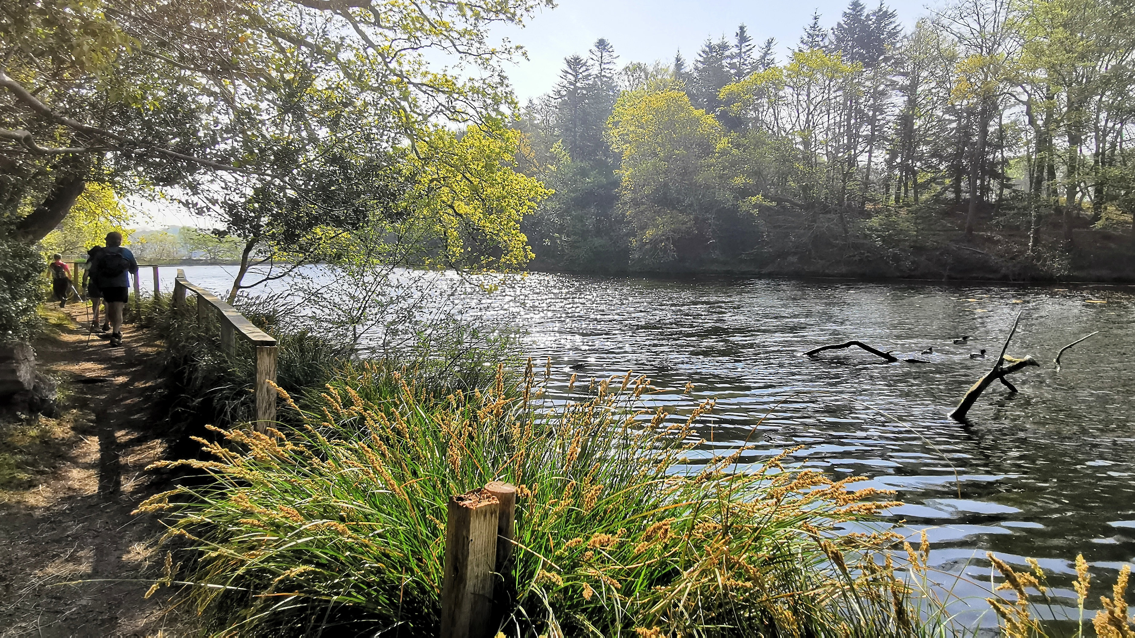 43-IMG_20210422_110901