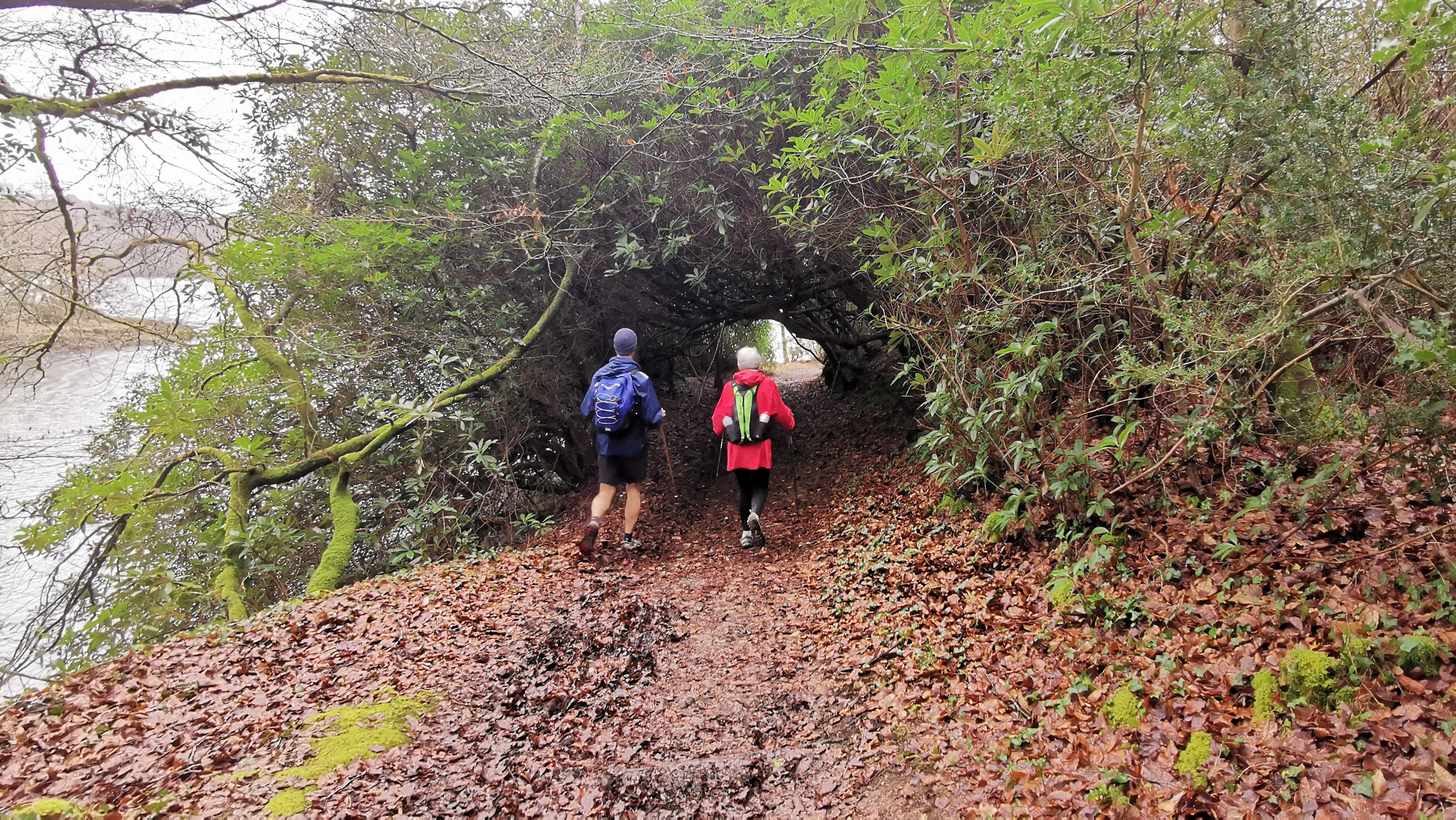 152-IMG_20210220_124110