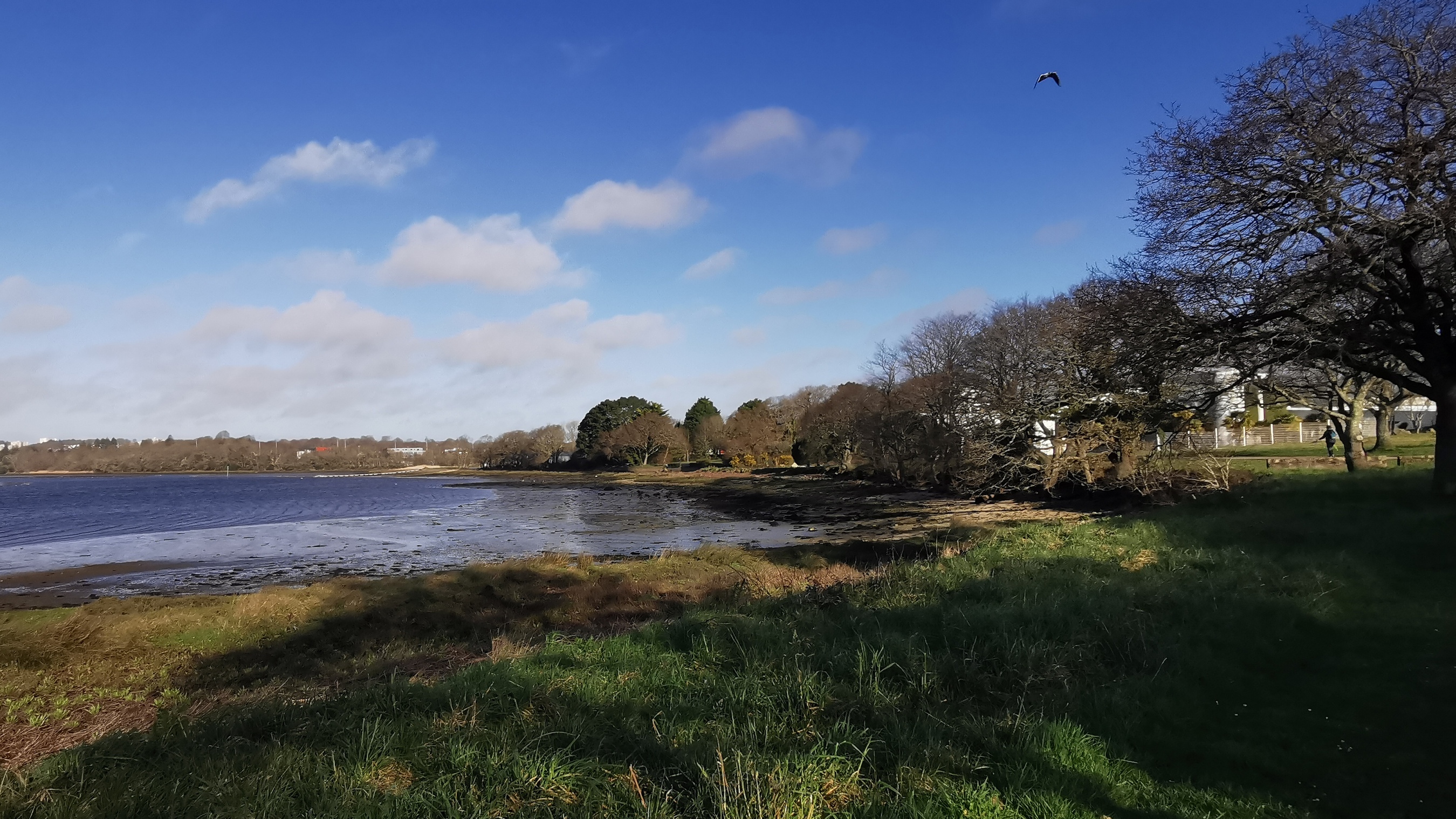 31-IMG_20210223_102637