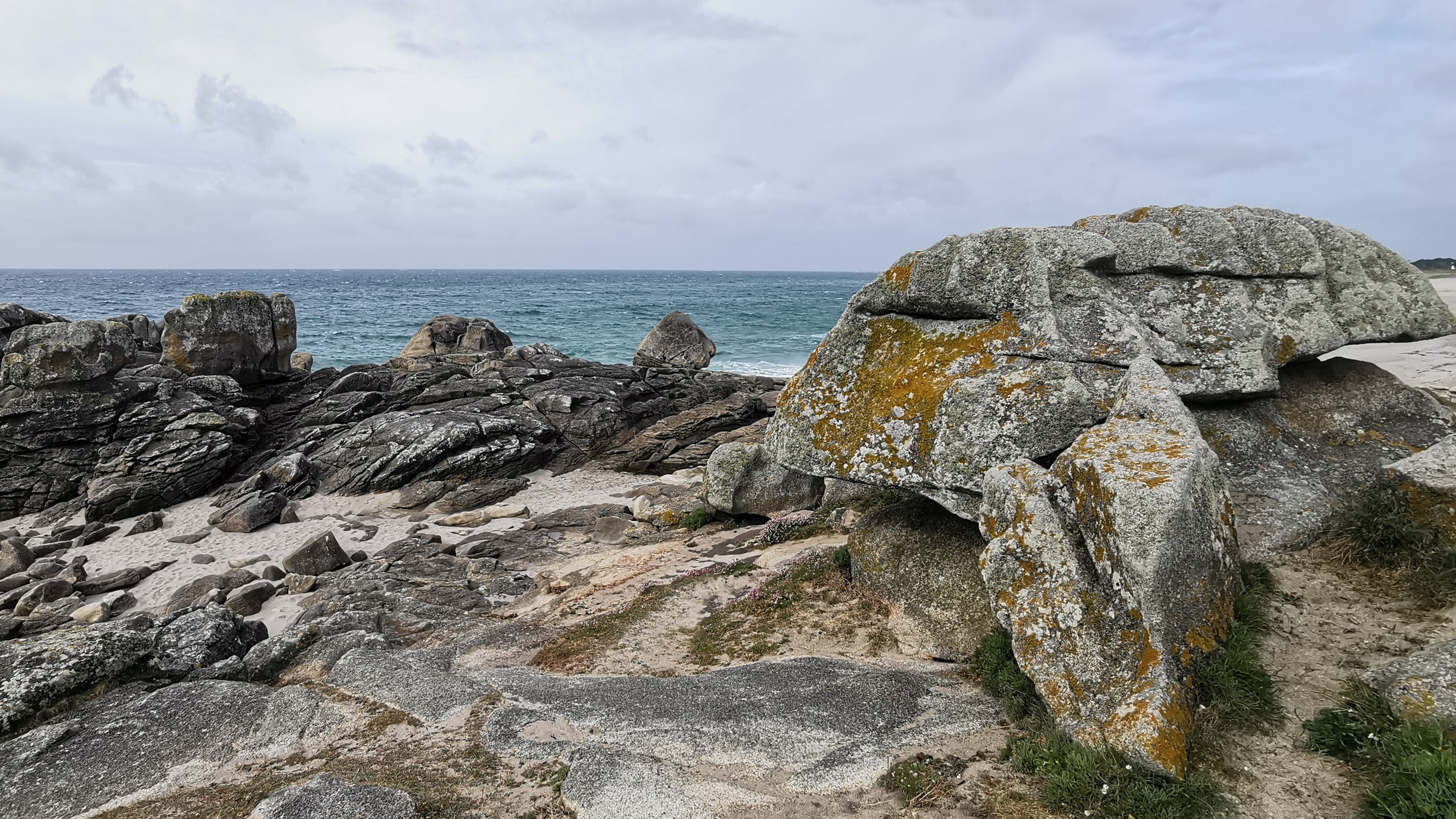 012-IMG_20210506_102747