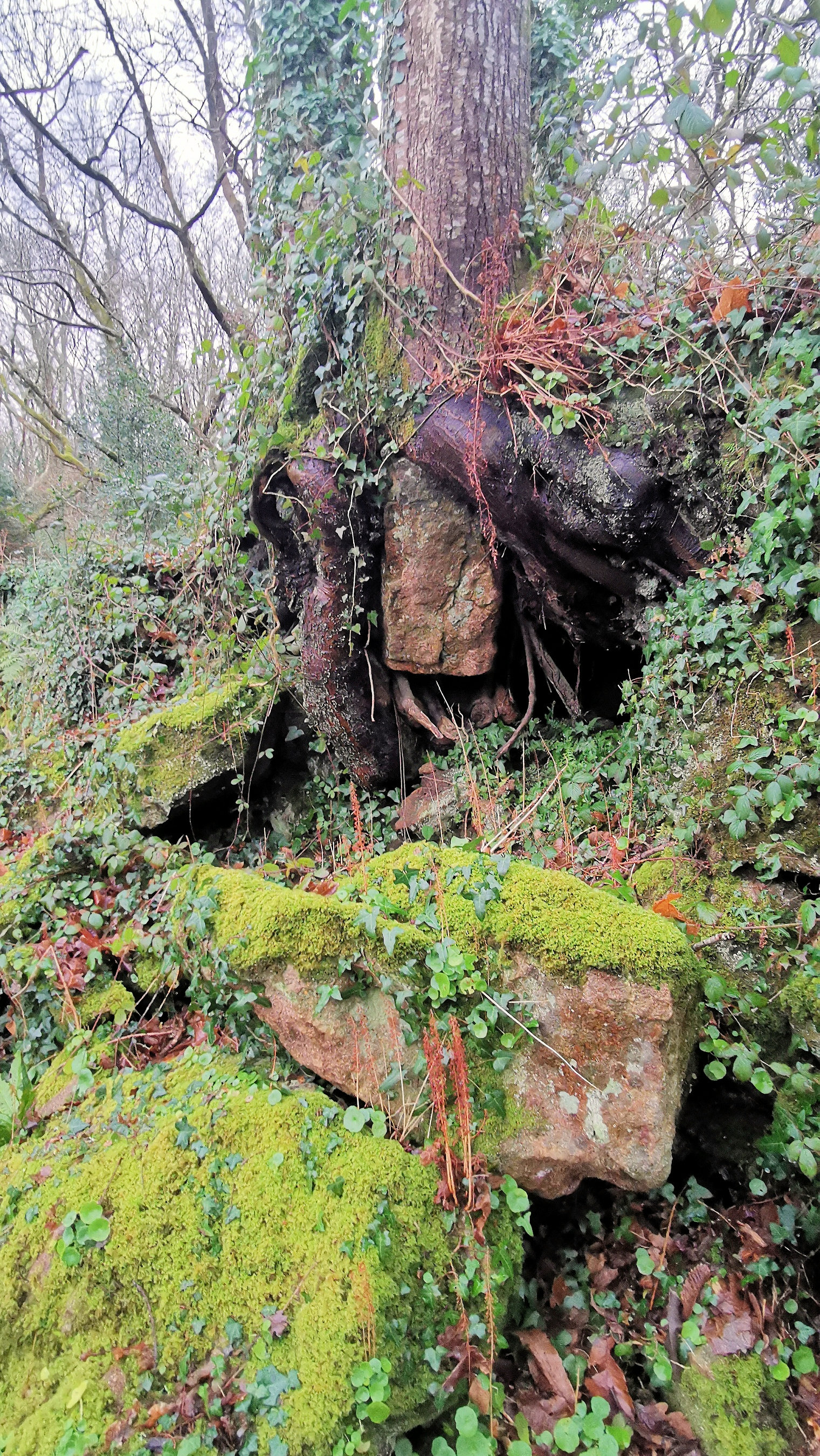 24-IMG_20210121_101530