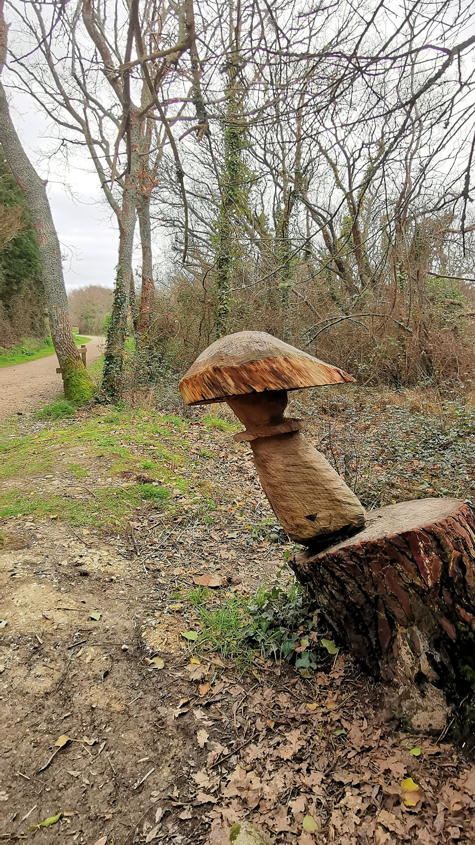 08-IMG_20210208_101618