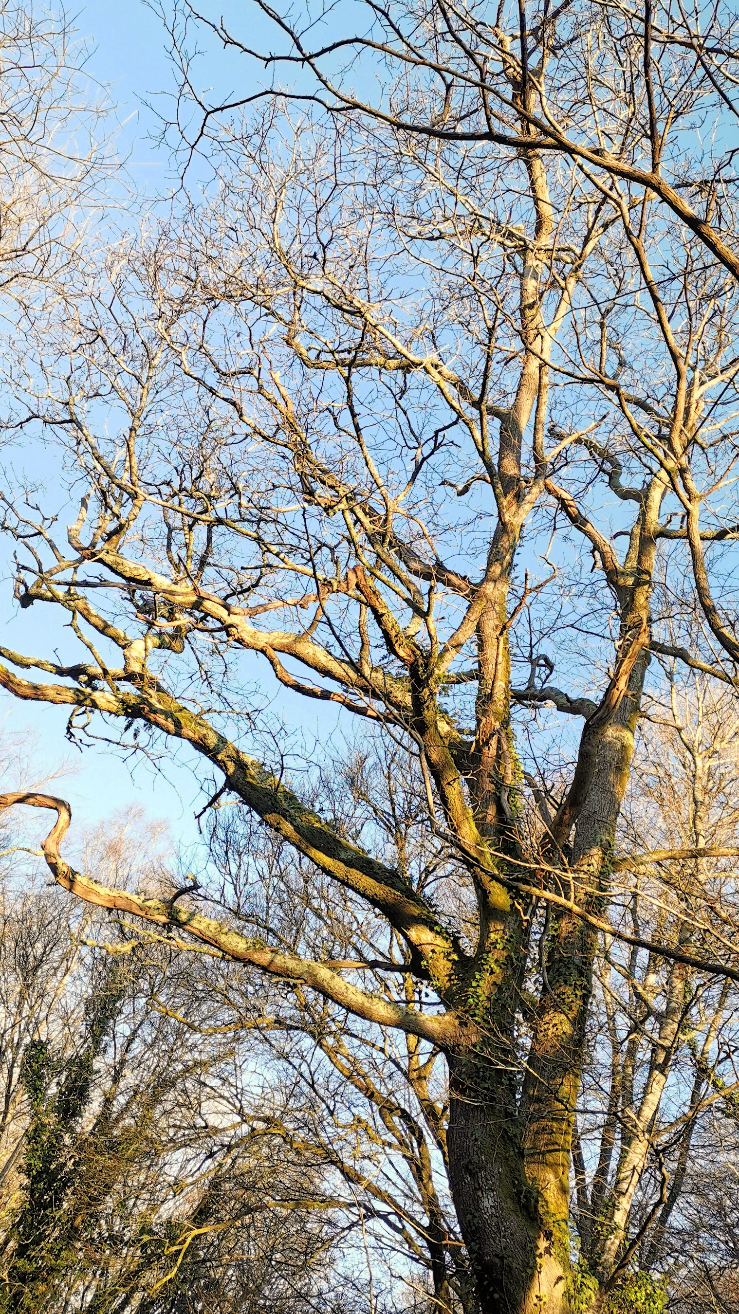 15-IMG_20210109_103716