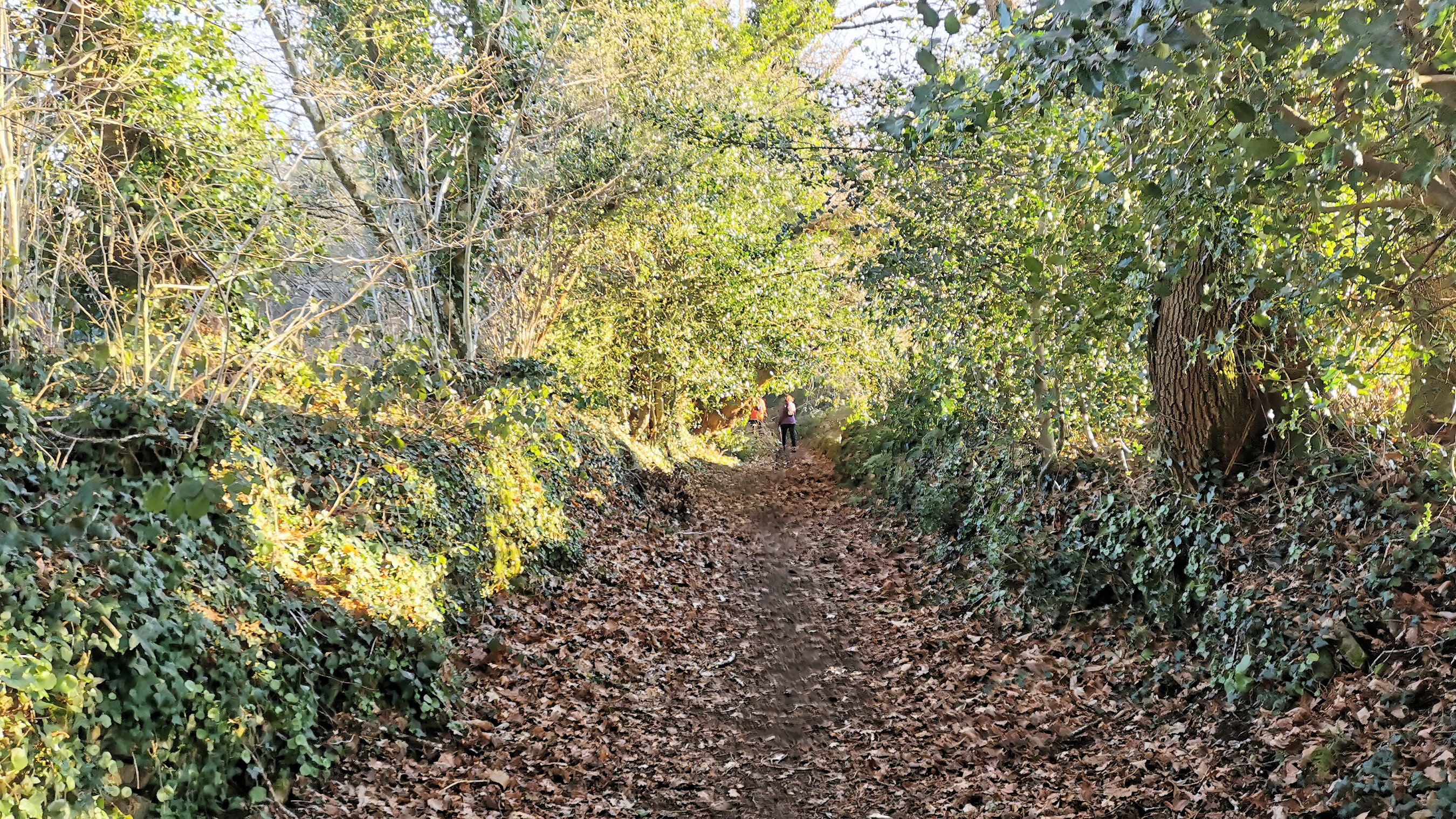 10-IMG_20210109_101116