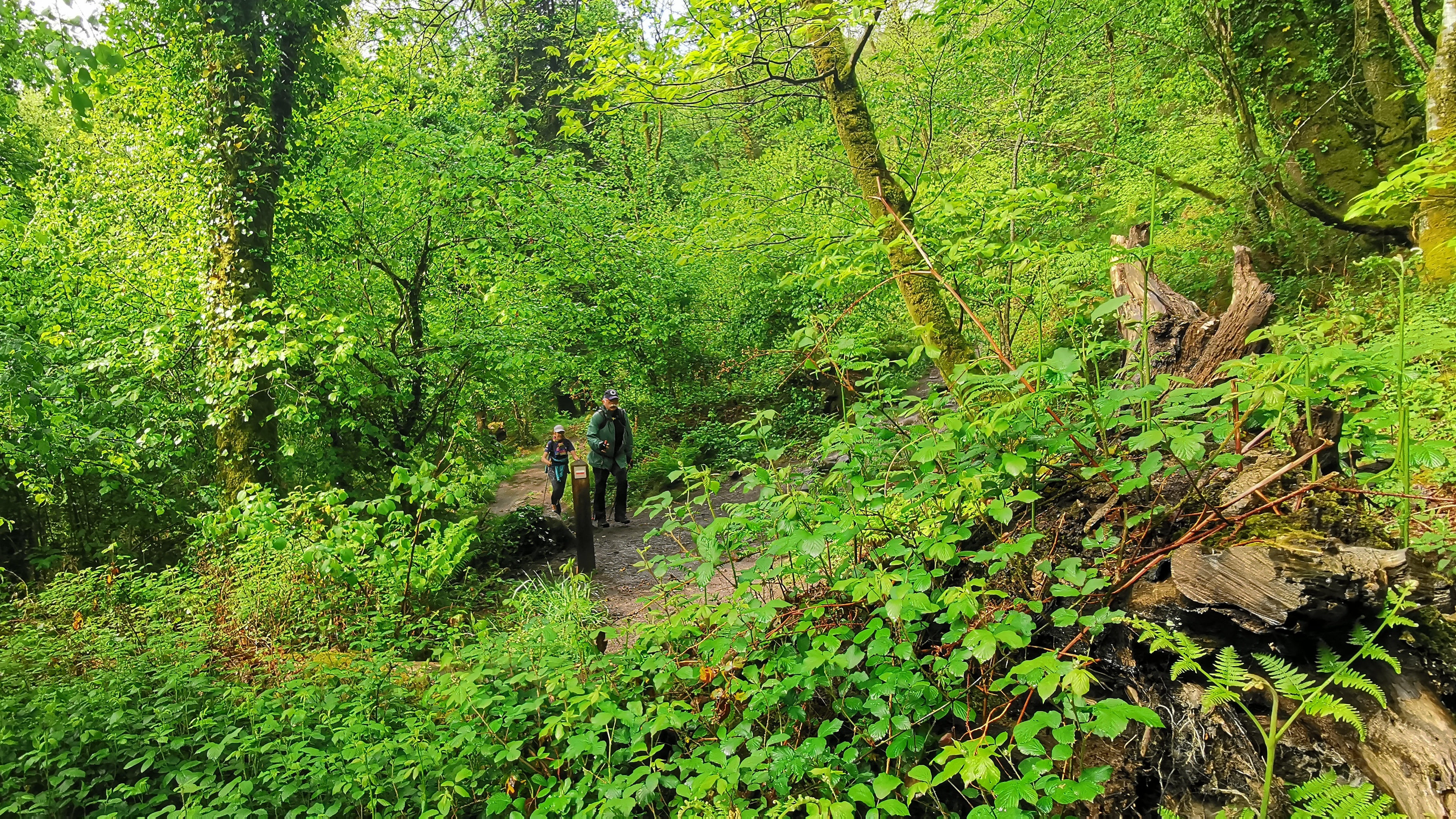 039-IMG_20210513_102036