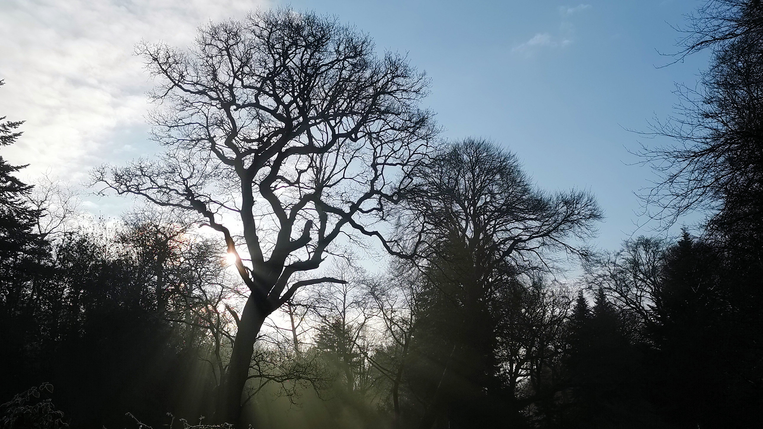 41-IMG_20210107_105349