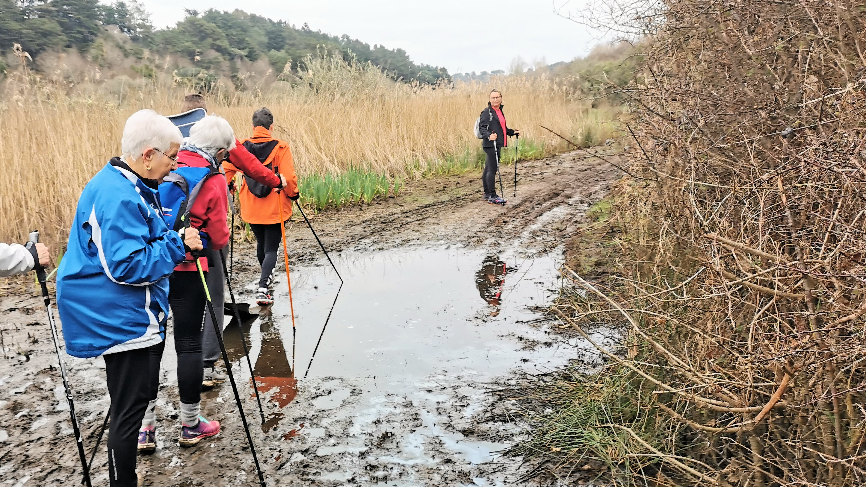 26-IMG_20210321_101144