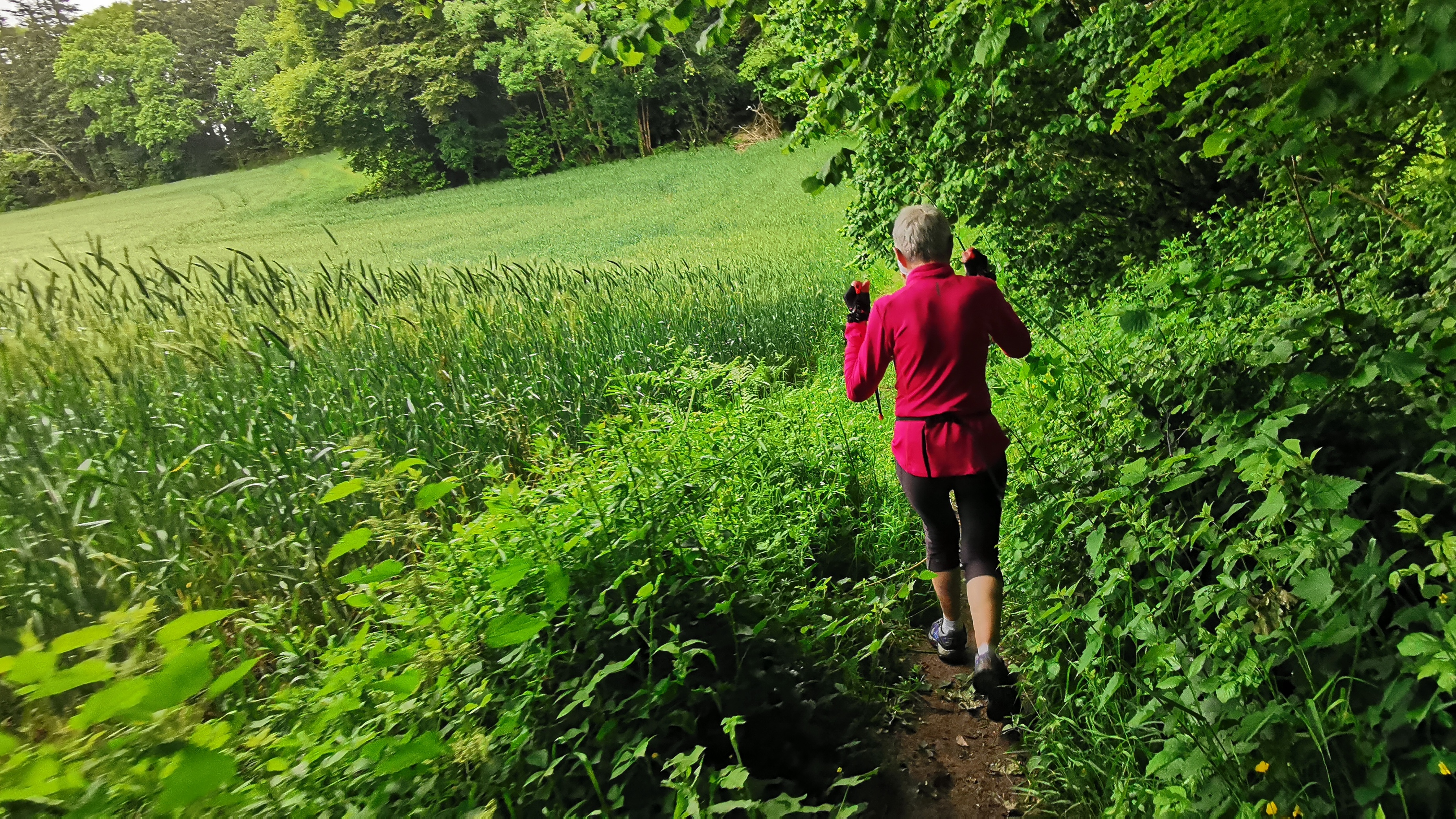 14-IMG_20210527_101038