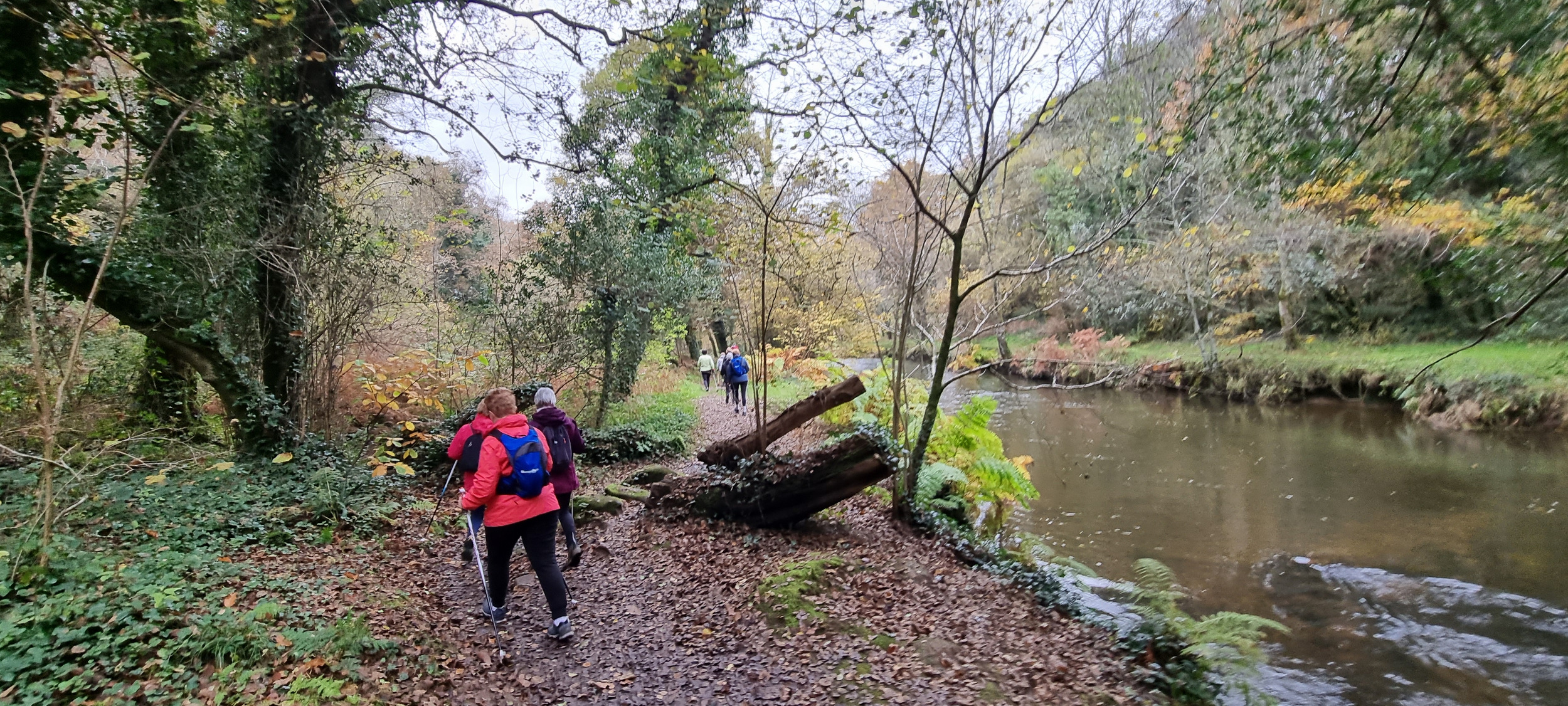 06-20211115_095903(0)