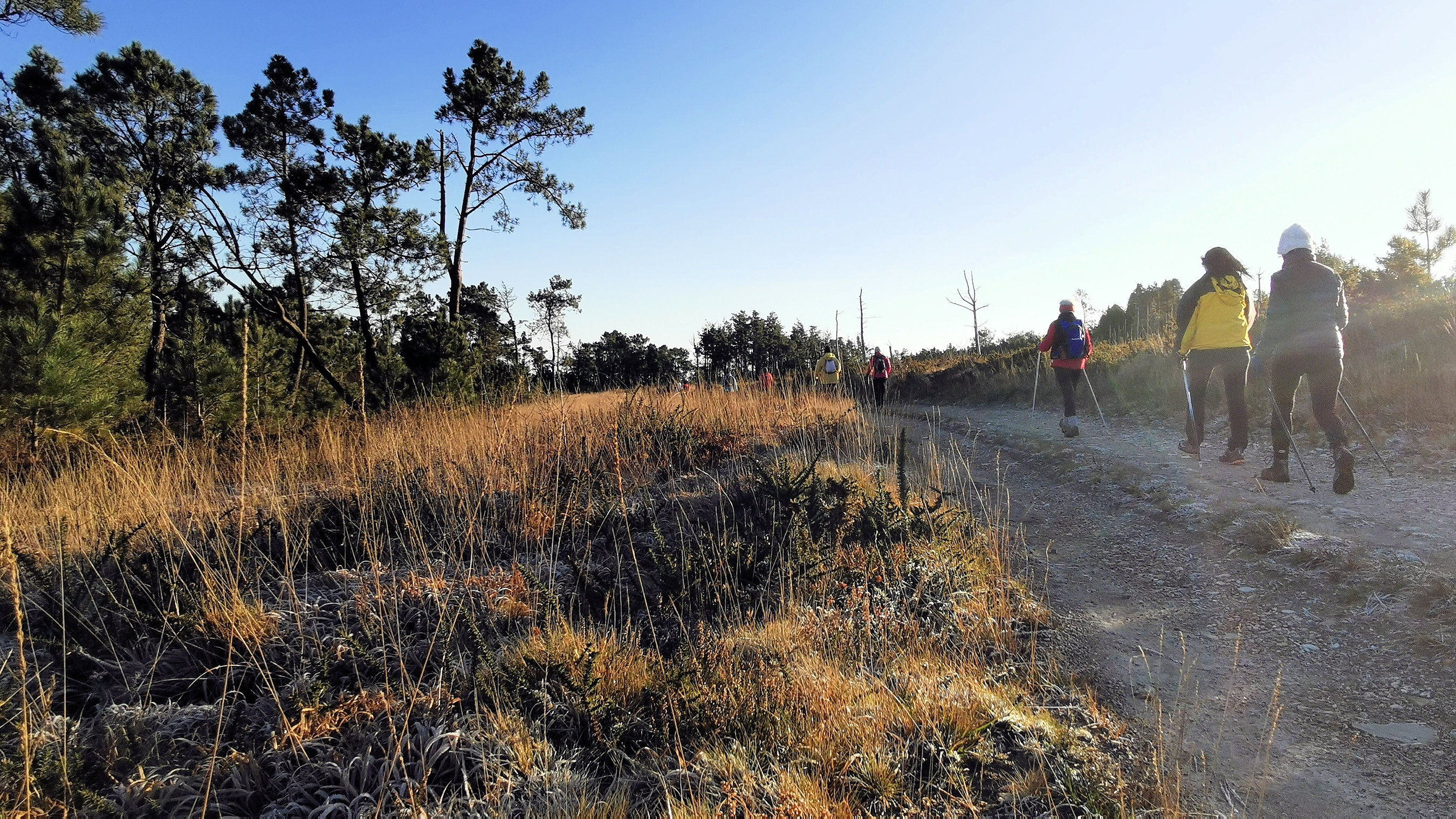 055-IMG_20210110_103916