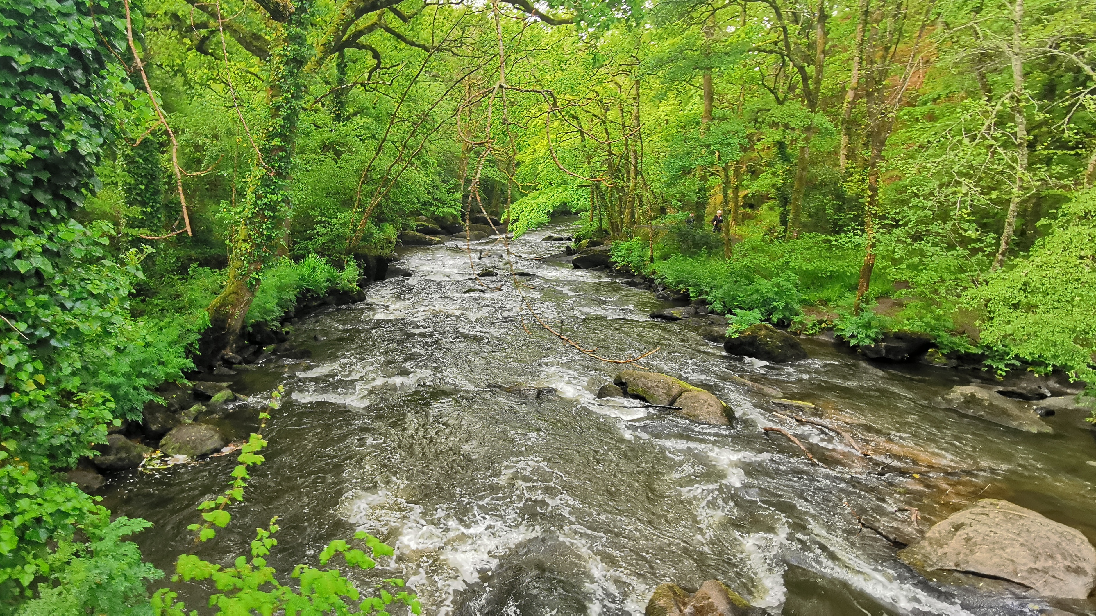 054-IMG_20210513_103118