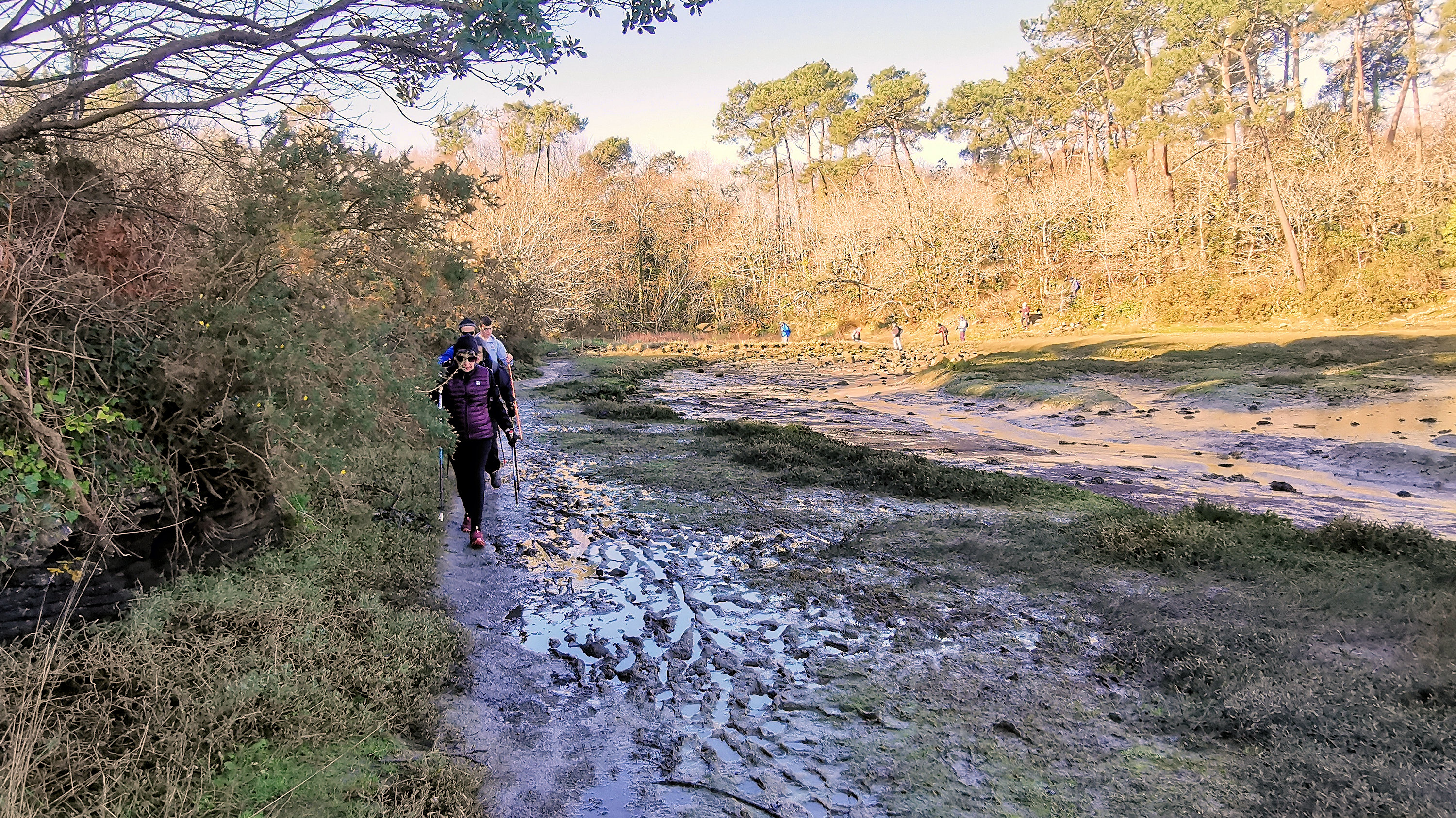 031-IMG_20210228_101001