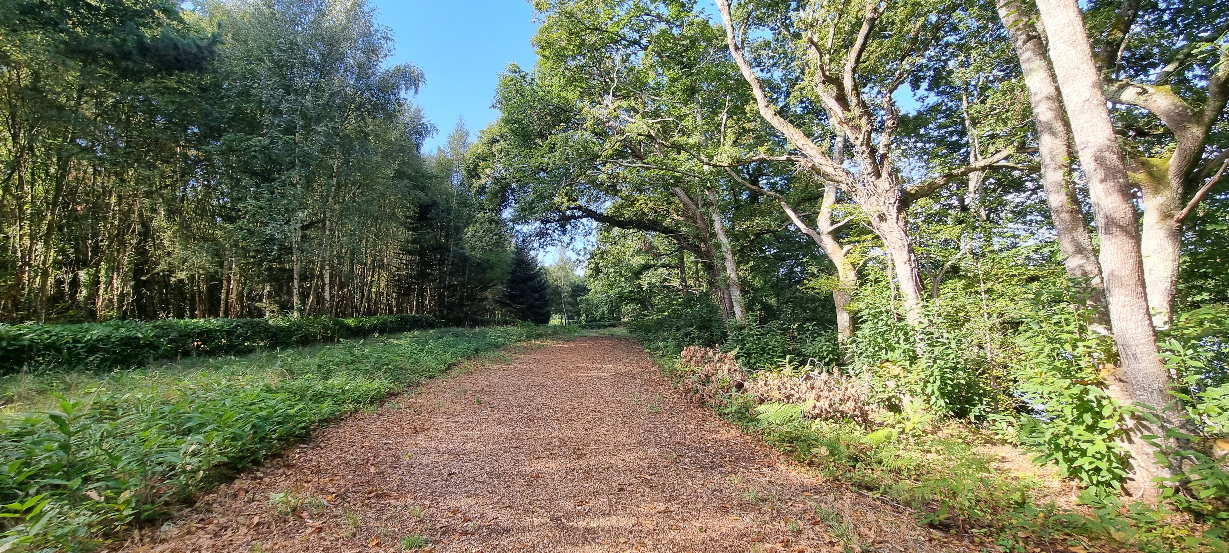 57-20210916_112254(0)