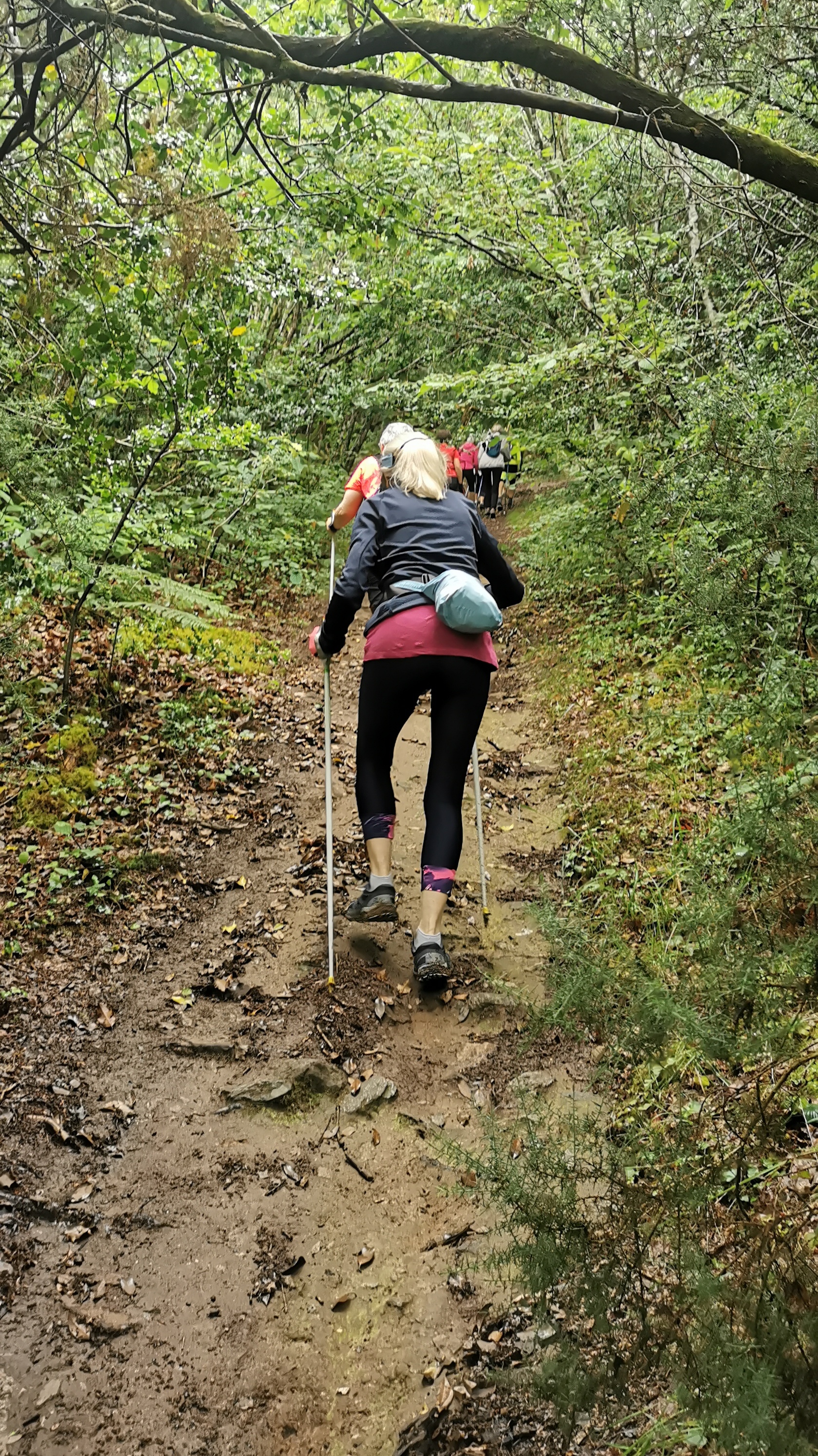 32-IMG_20210617_105340_1