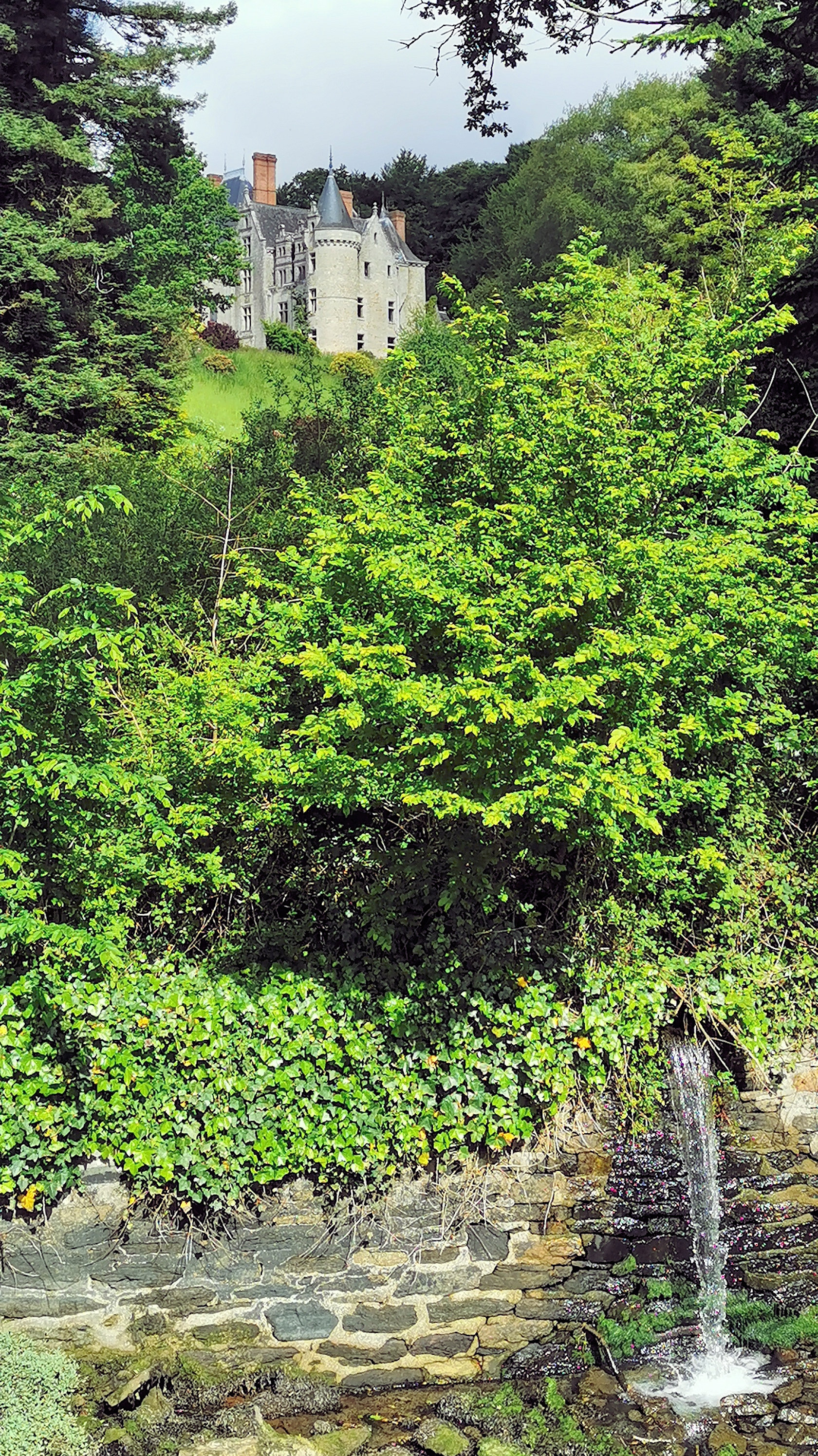 21-IMG_20210522_105017