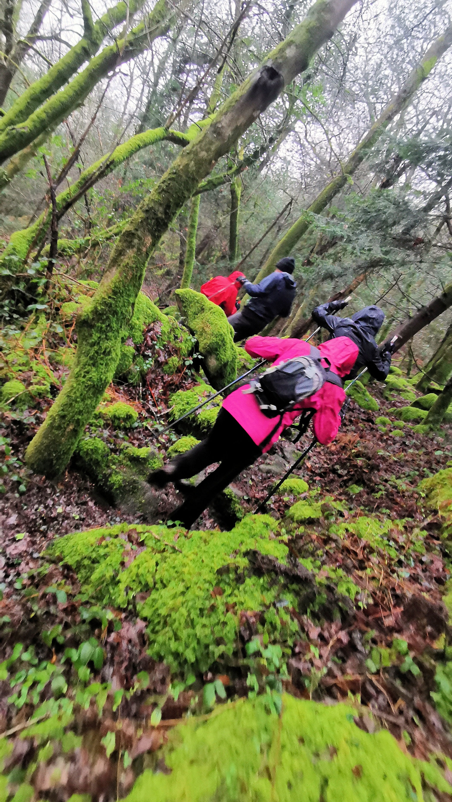 75-IMG_20210121_114024