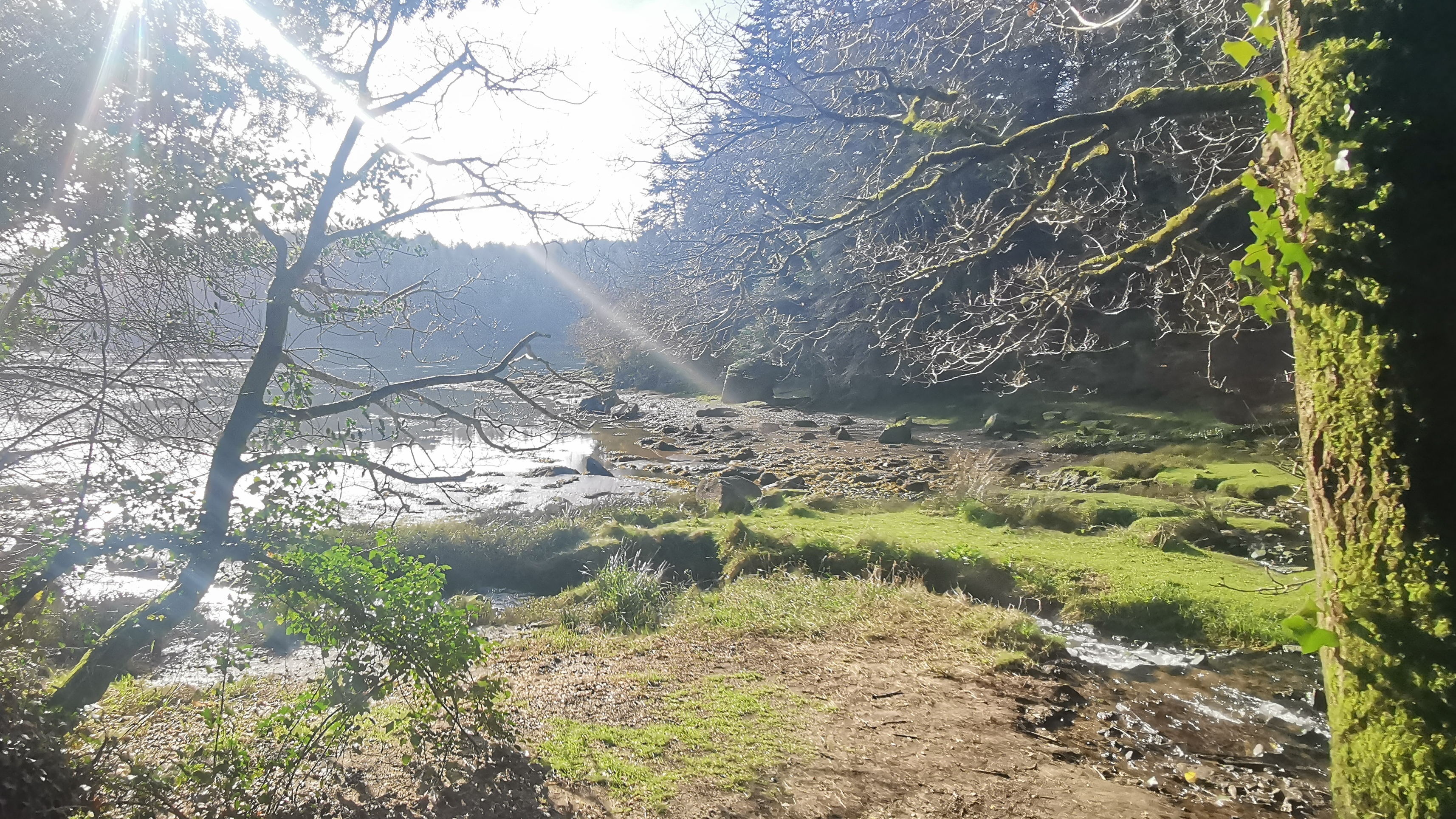 07-IMG_20210318_094216