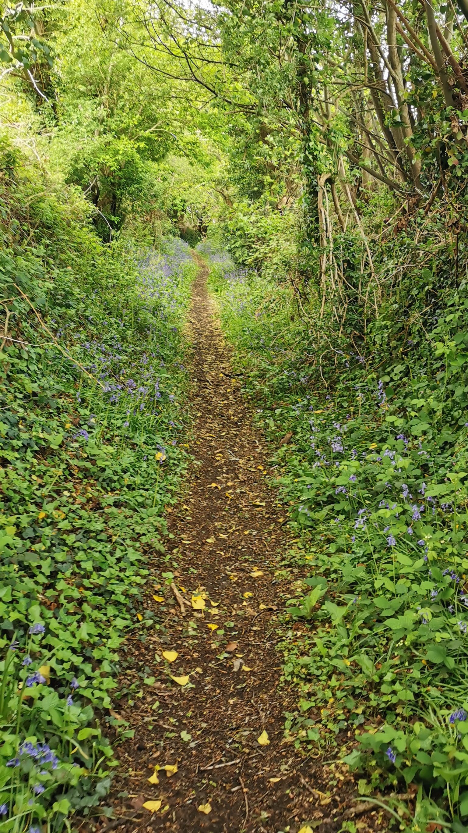 11-IMG_20210508_094125