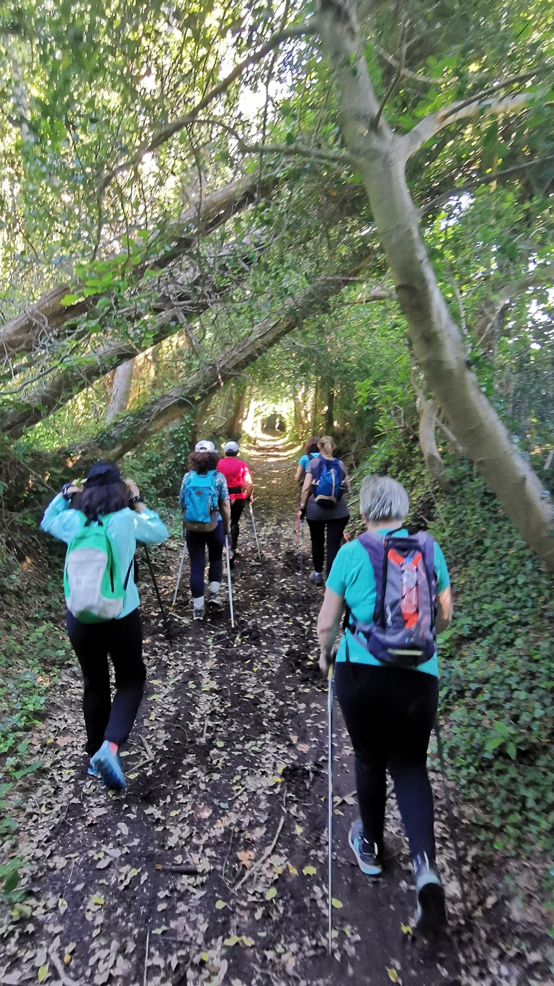 49-IMG_20210531_111616