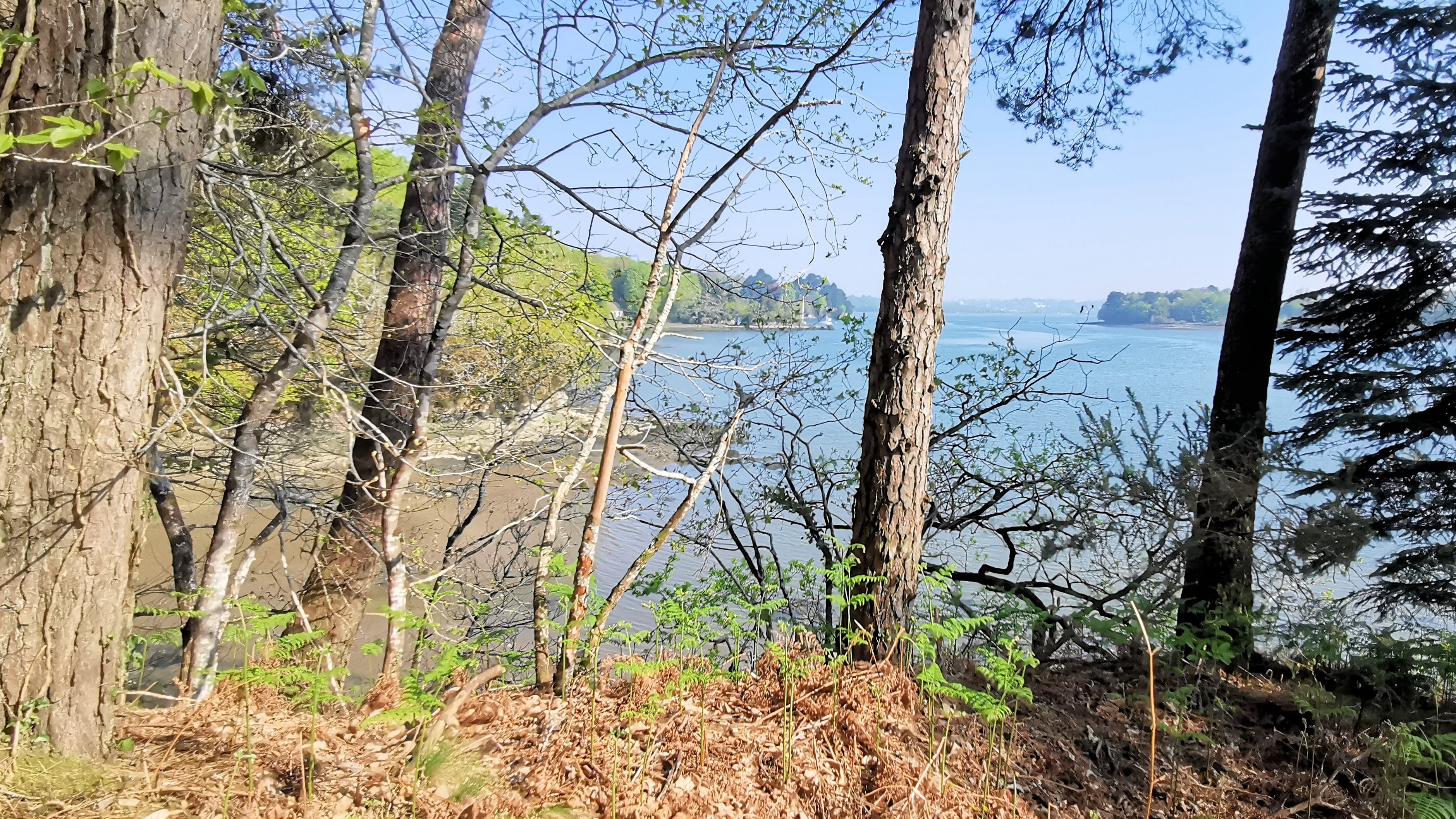 23-IMG_20210422_105242_1