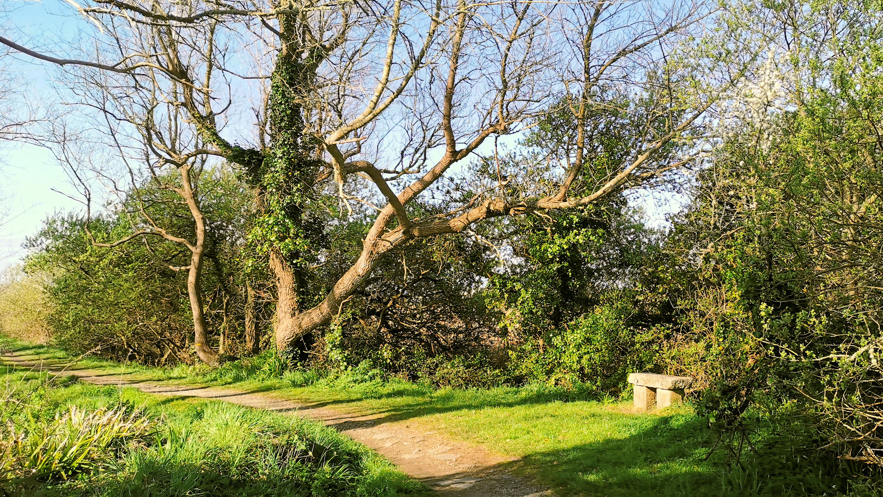 24-IMG_20210403_104308_1