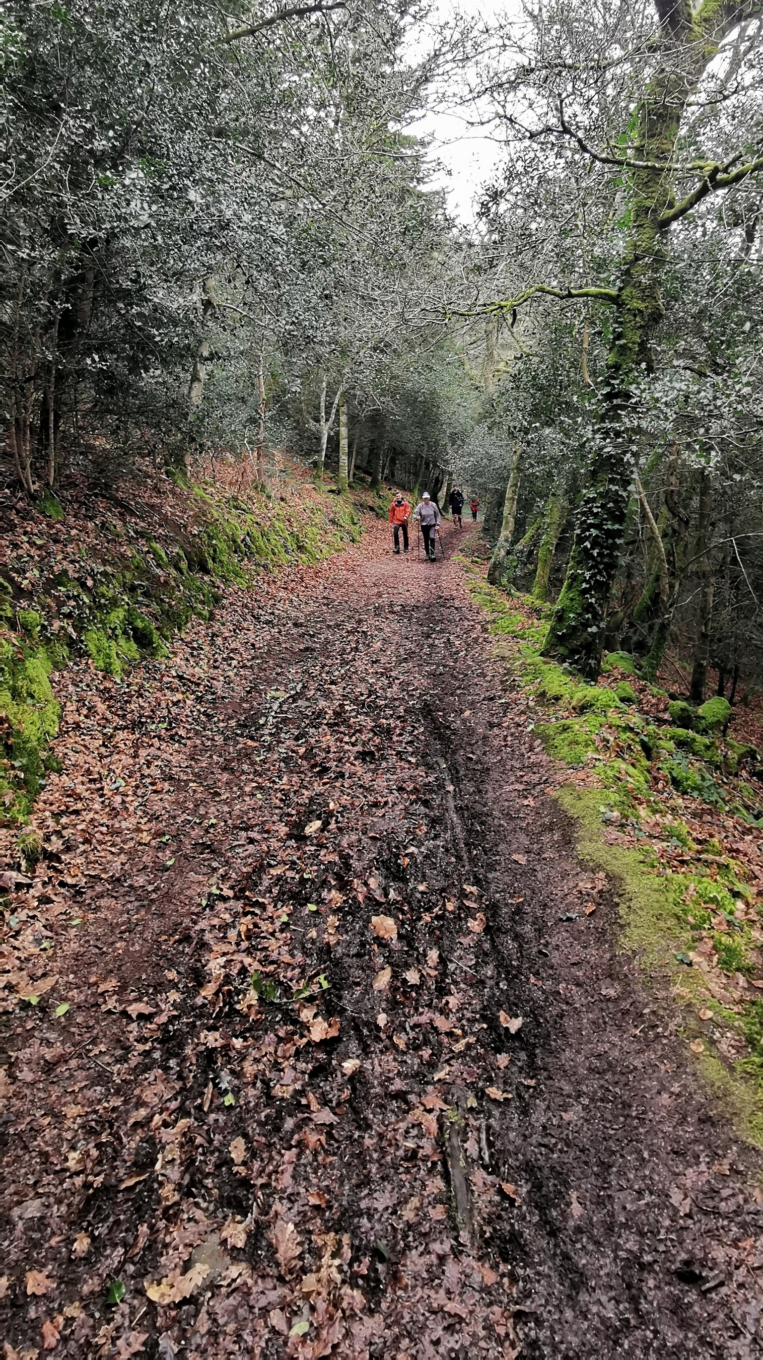 128-IMG_20210220_121949