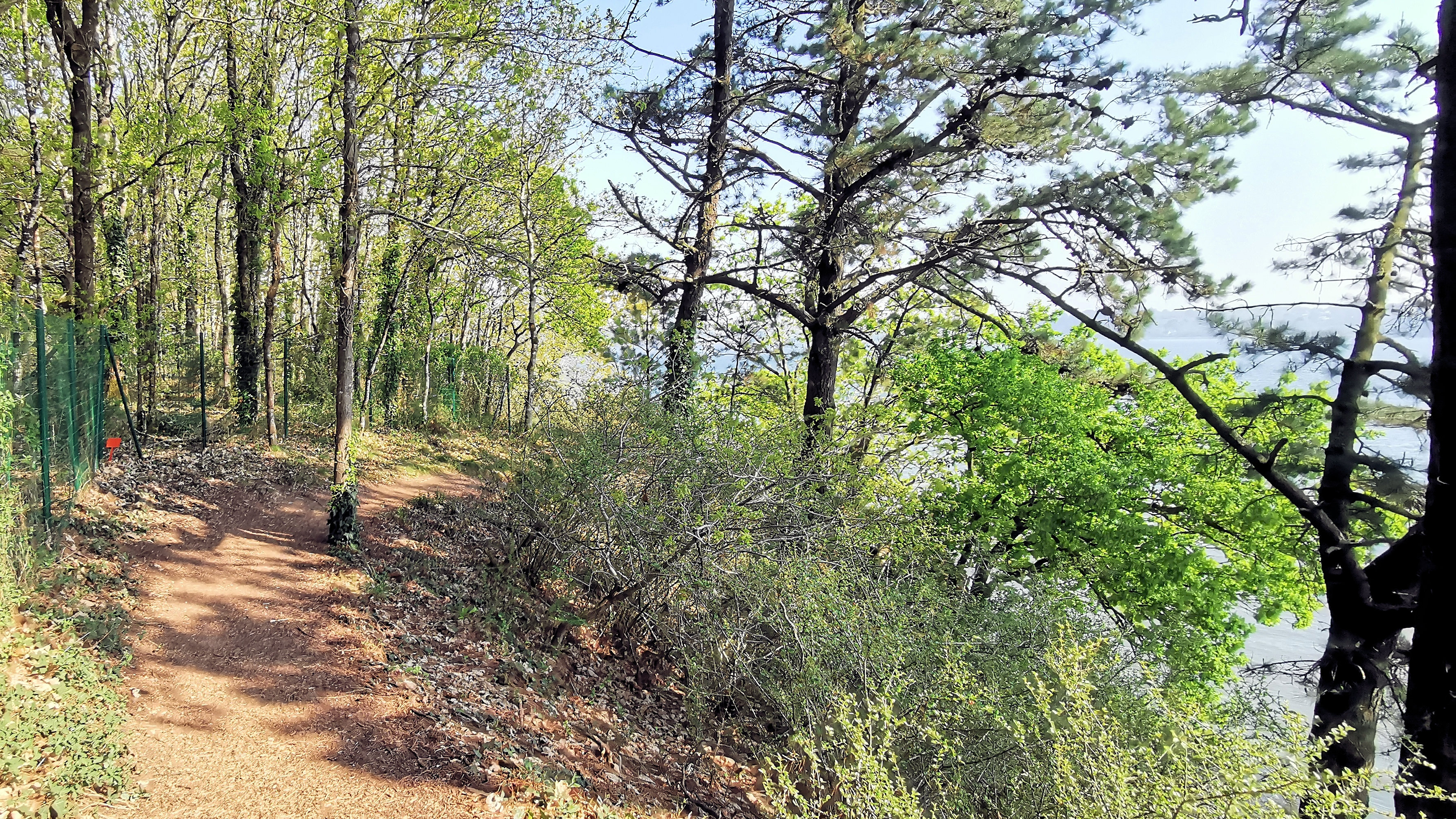 60-IMG_20210422_111611