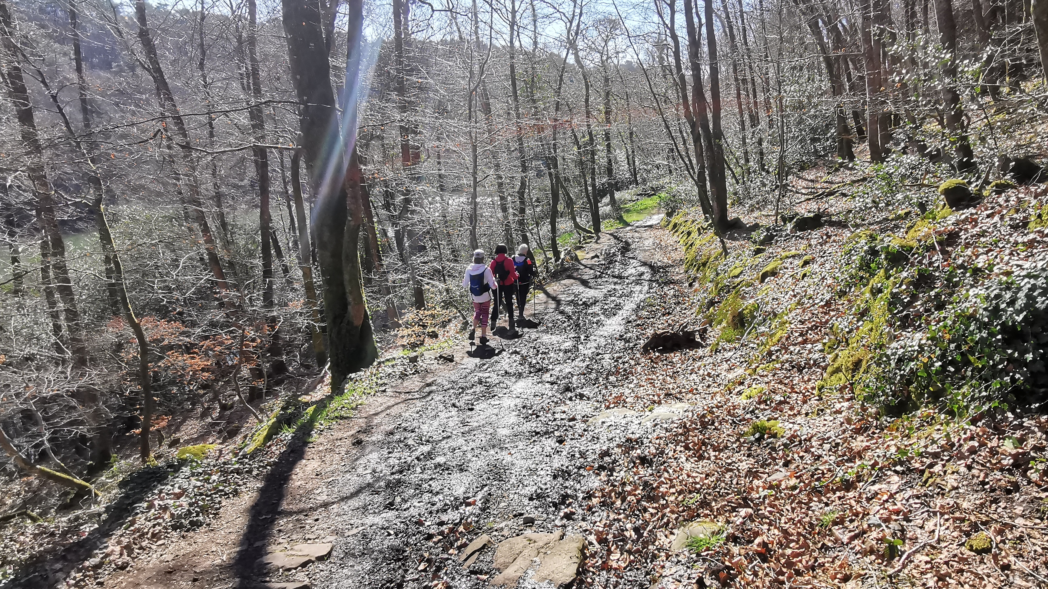 41-IMG_20210320_112822