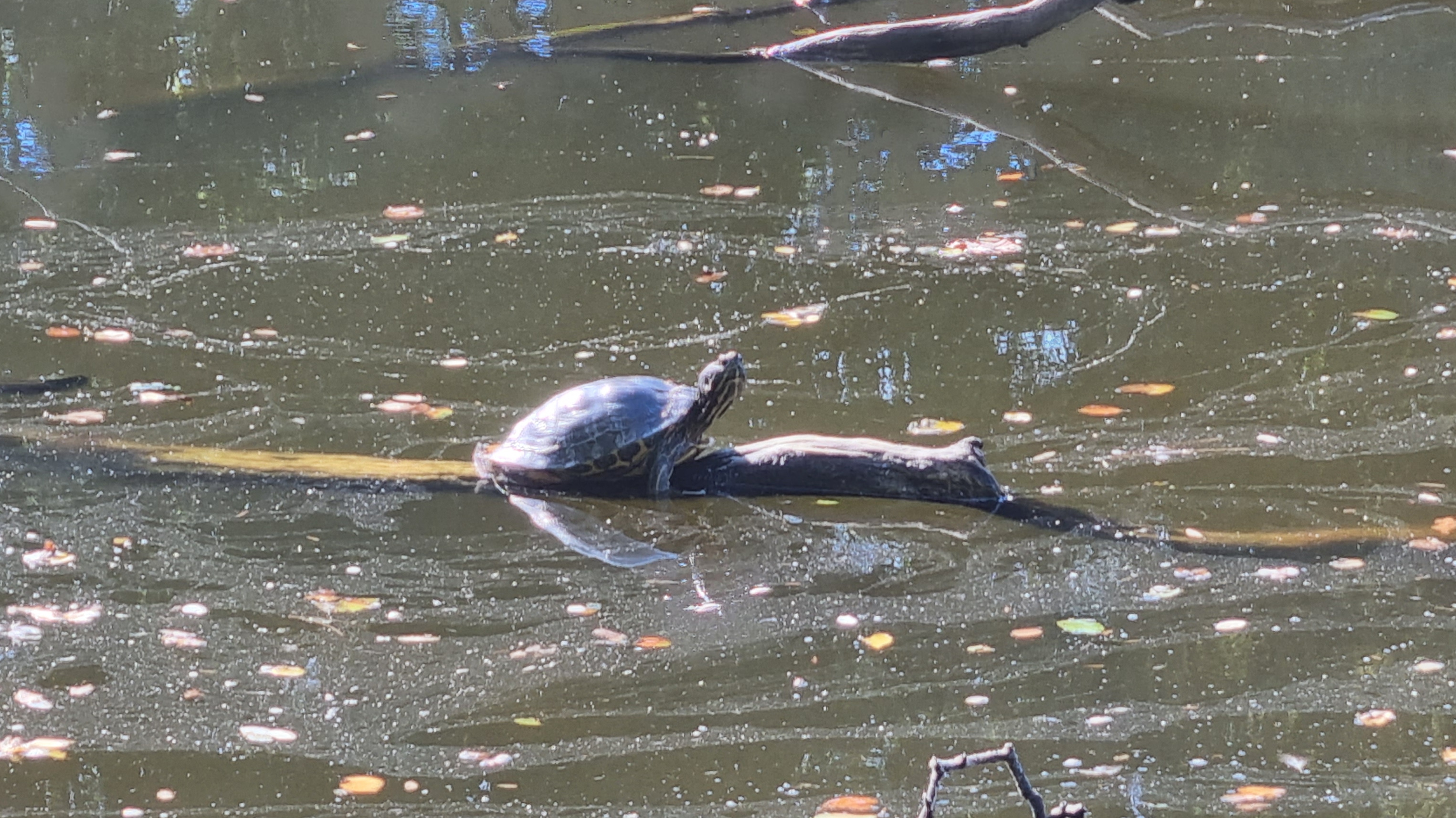 39-20210916_110447(0)