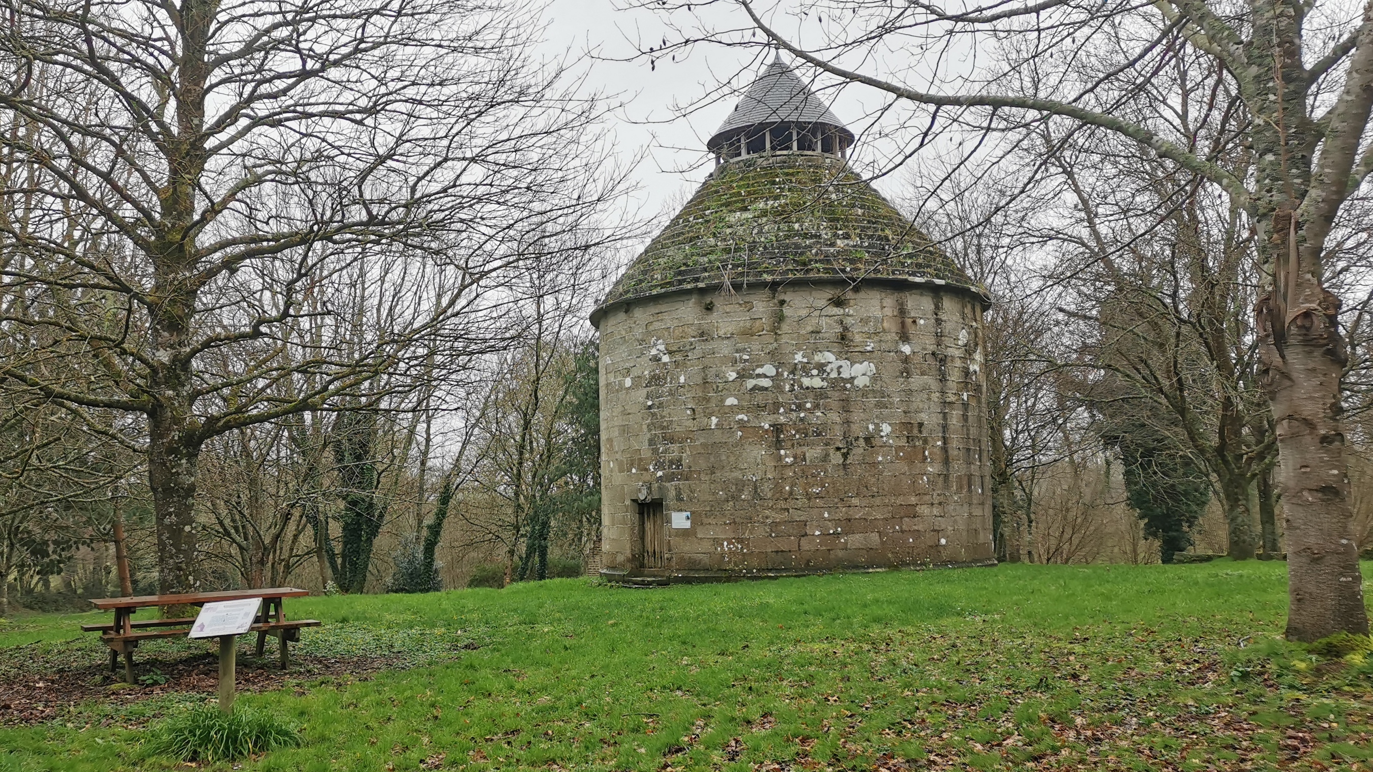 185-IMG_20210220_134636