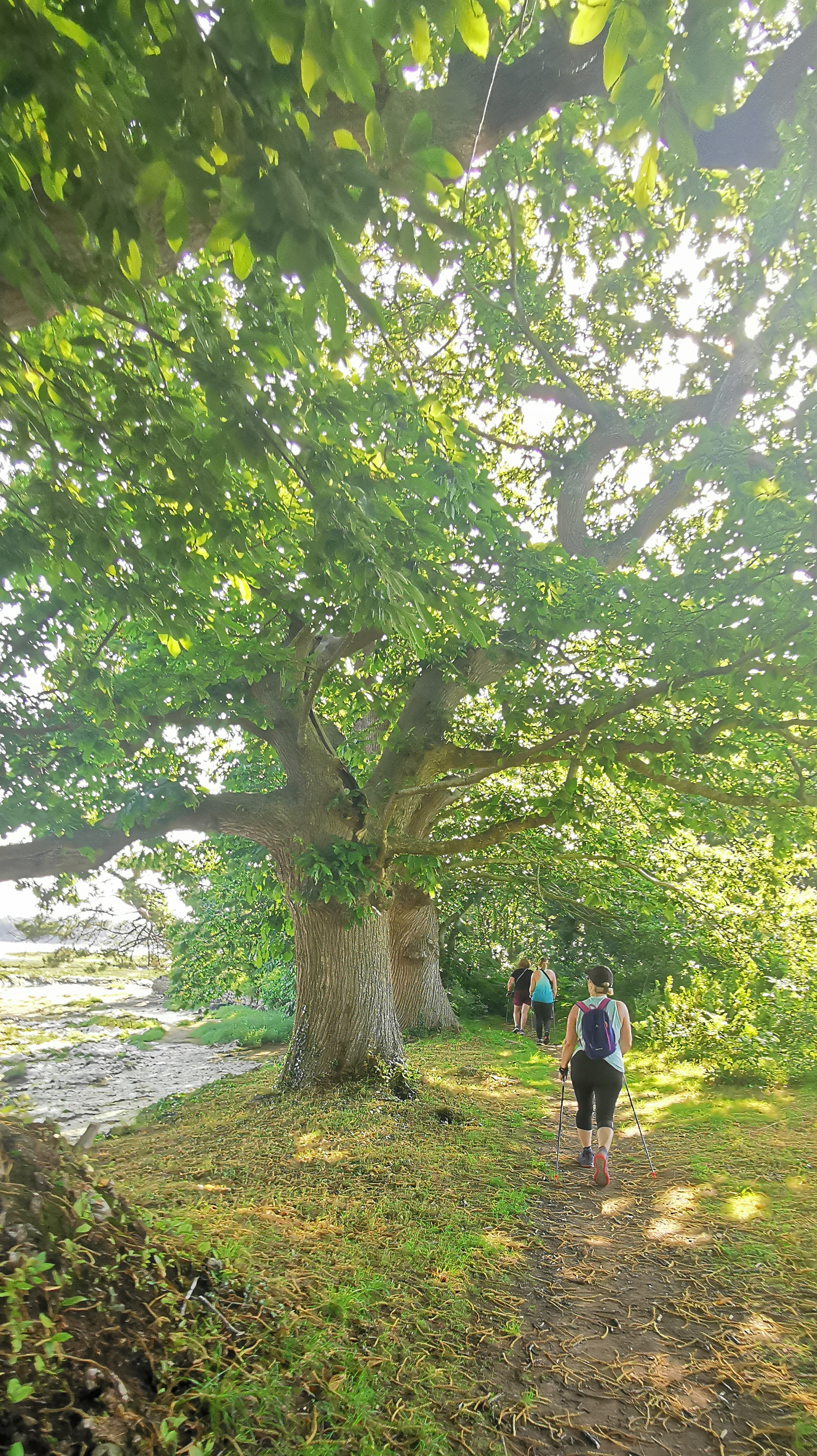 038-IMG_20210718_100940