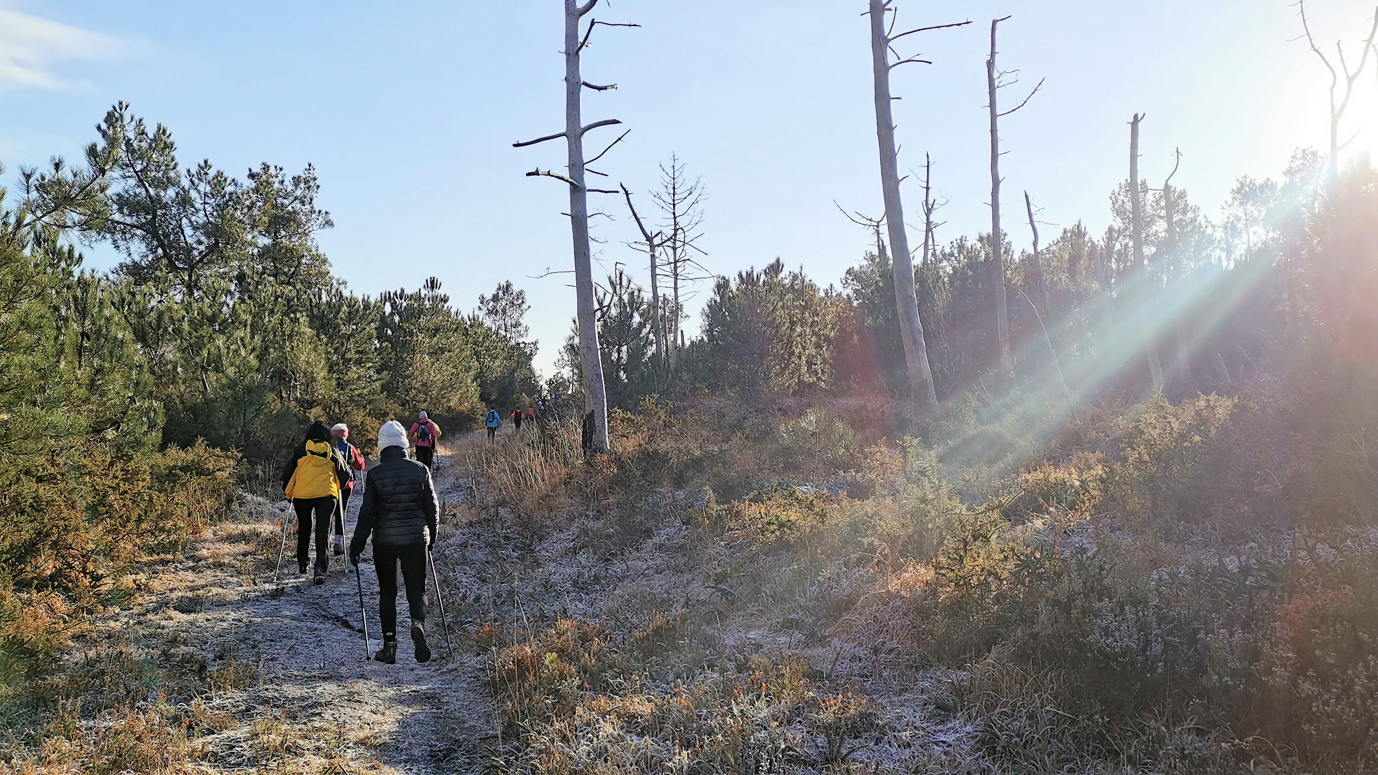 085-IMG_20210110_105237