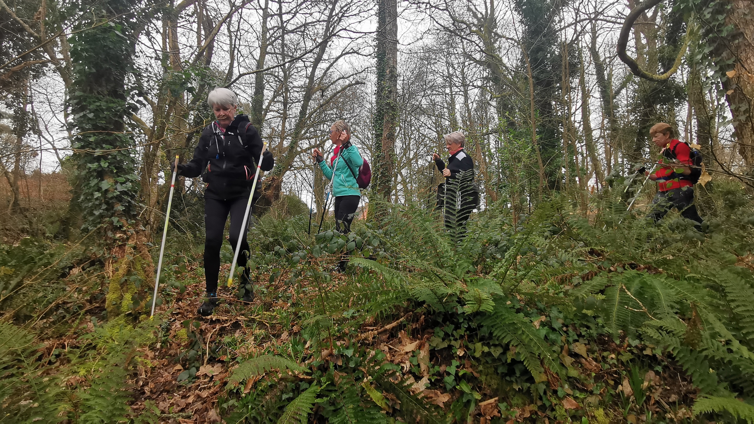 27-IMG_20210304_103853