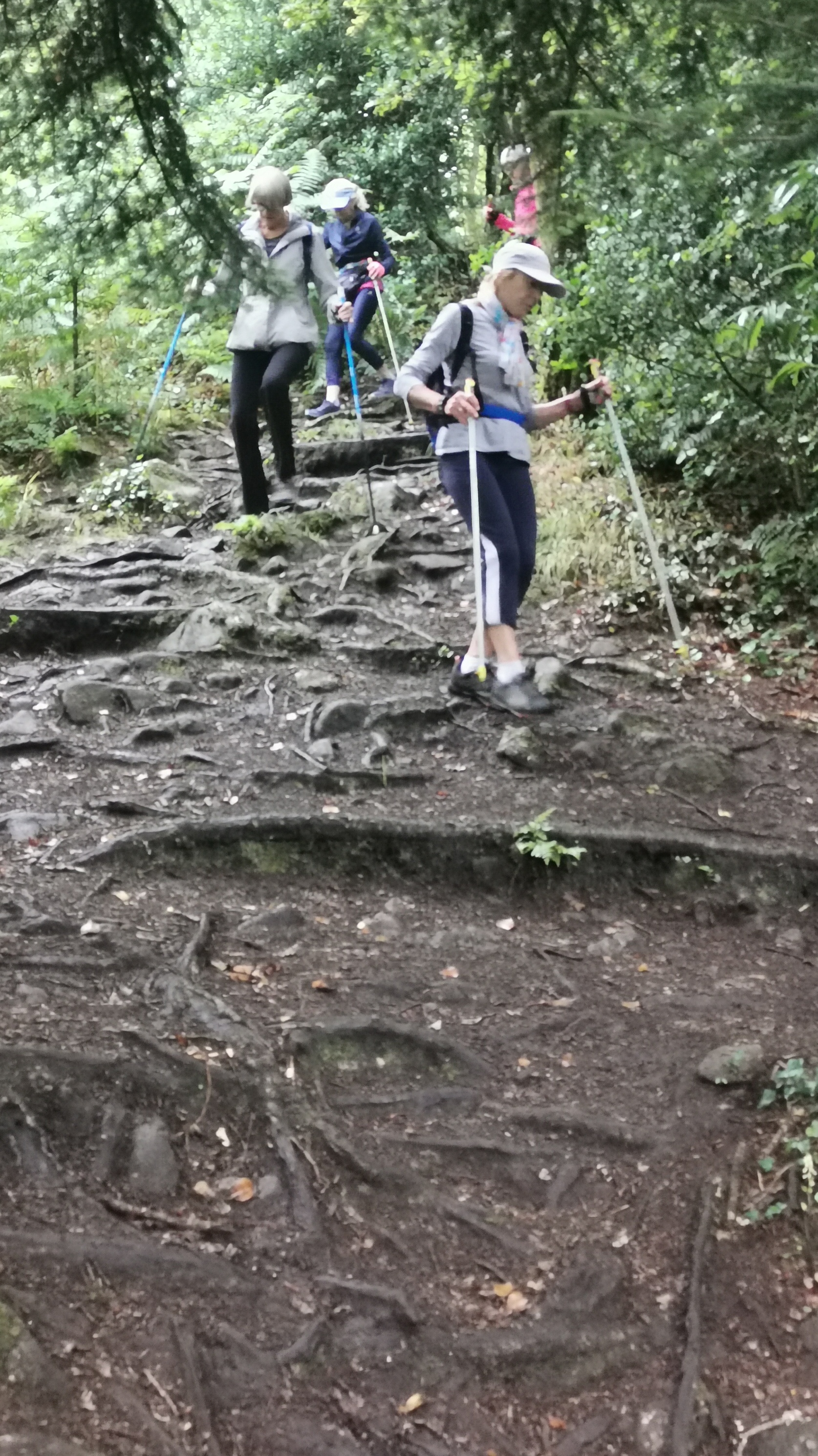 08-IMG_20210617_100152_1