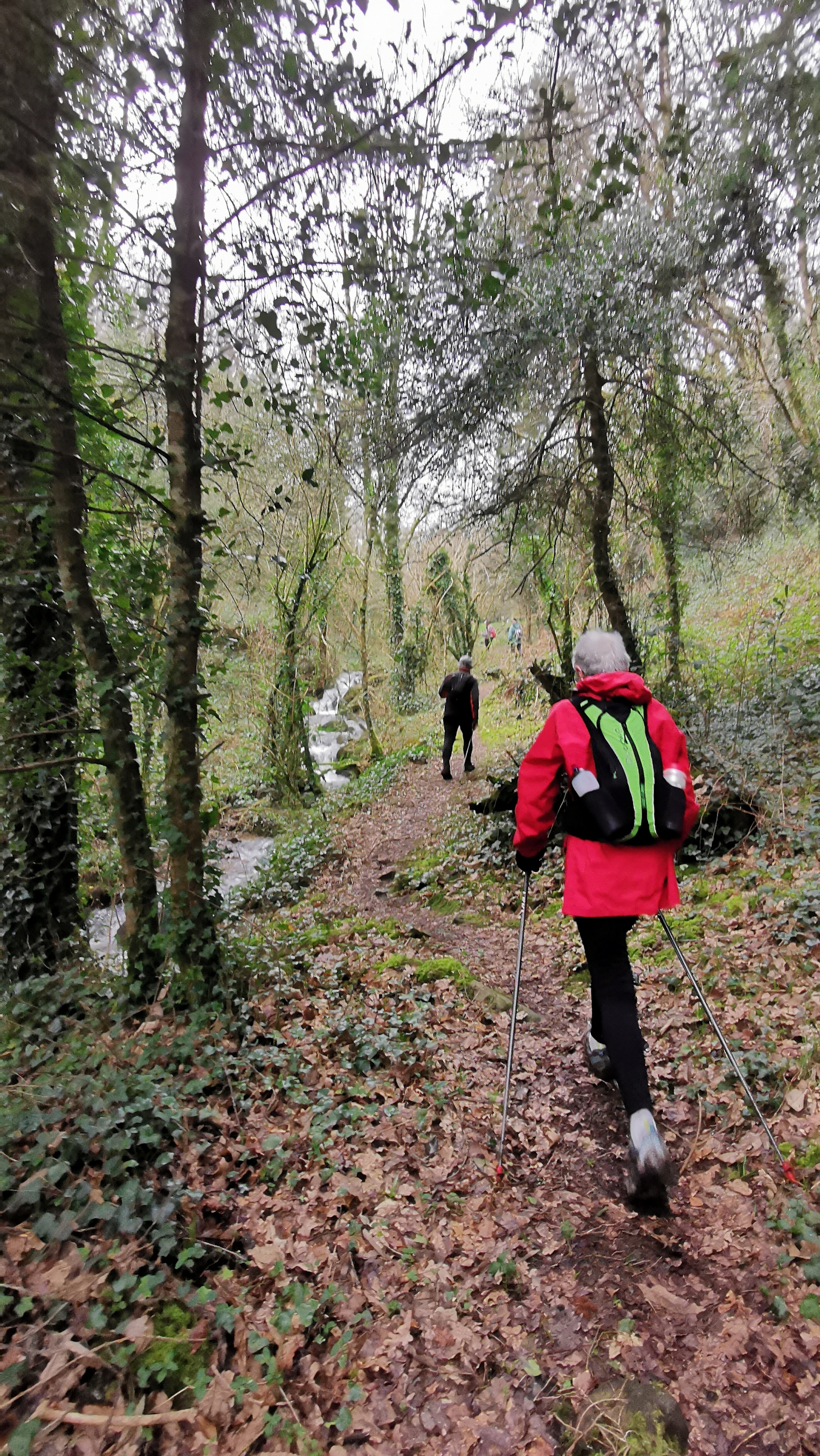 100-IMG_20210220_115339_1