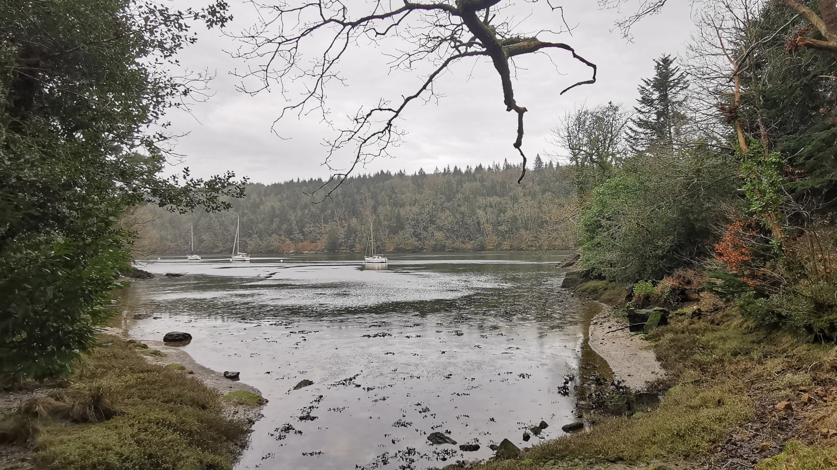 093-IMG_20210220_114739