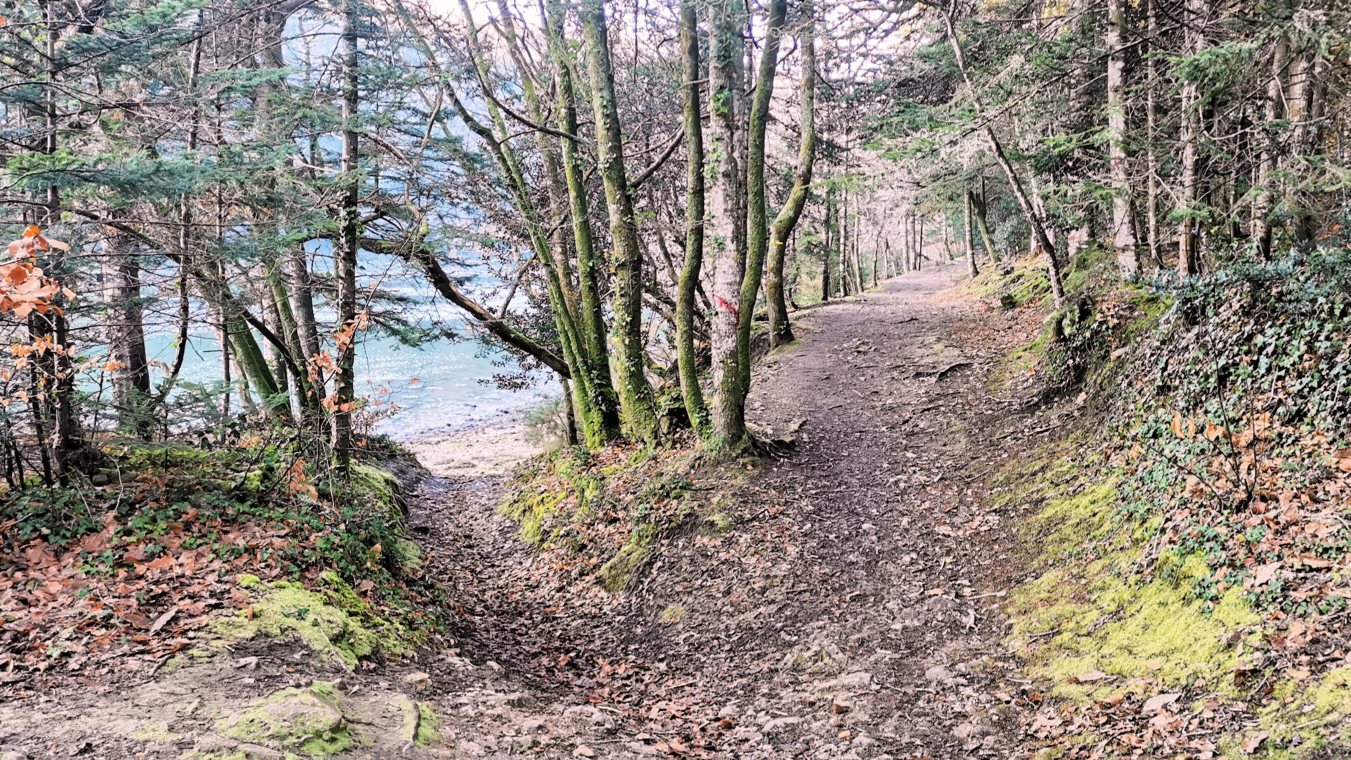 31-IMG_20210109_104922_1