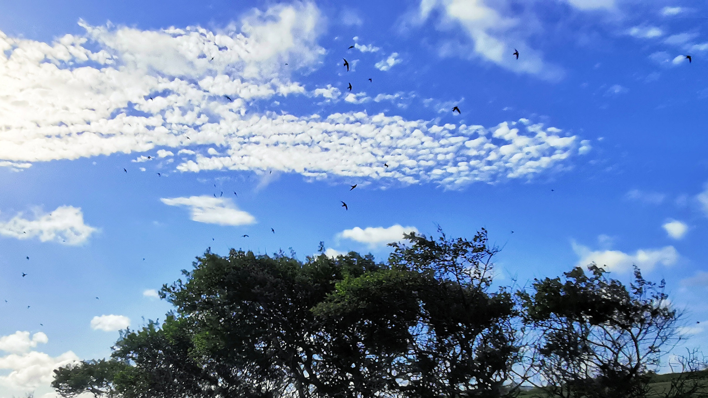 06-IMG_20210523_093705