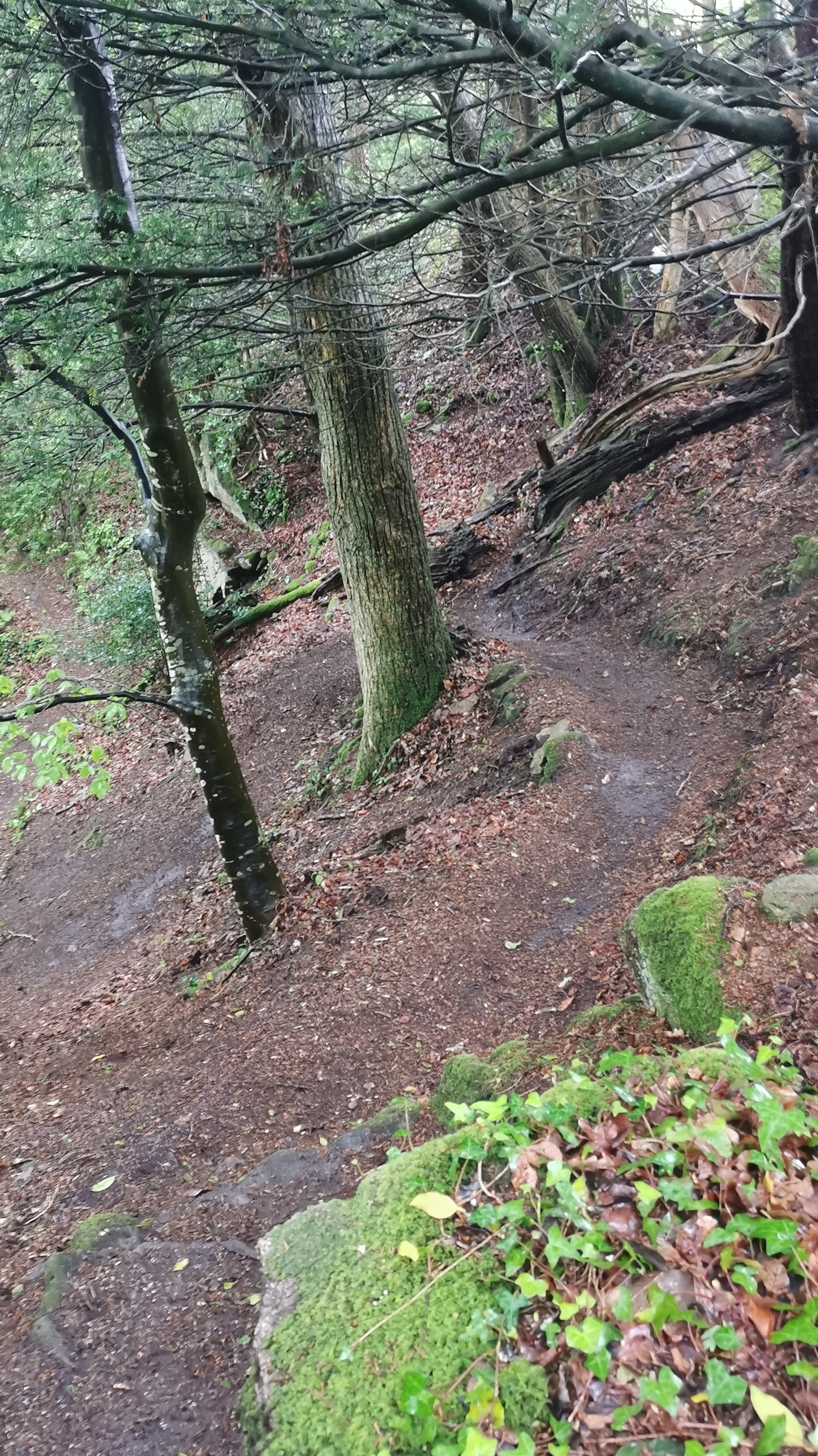 013-IMG_20210513_094552