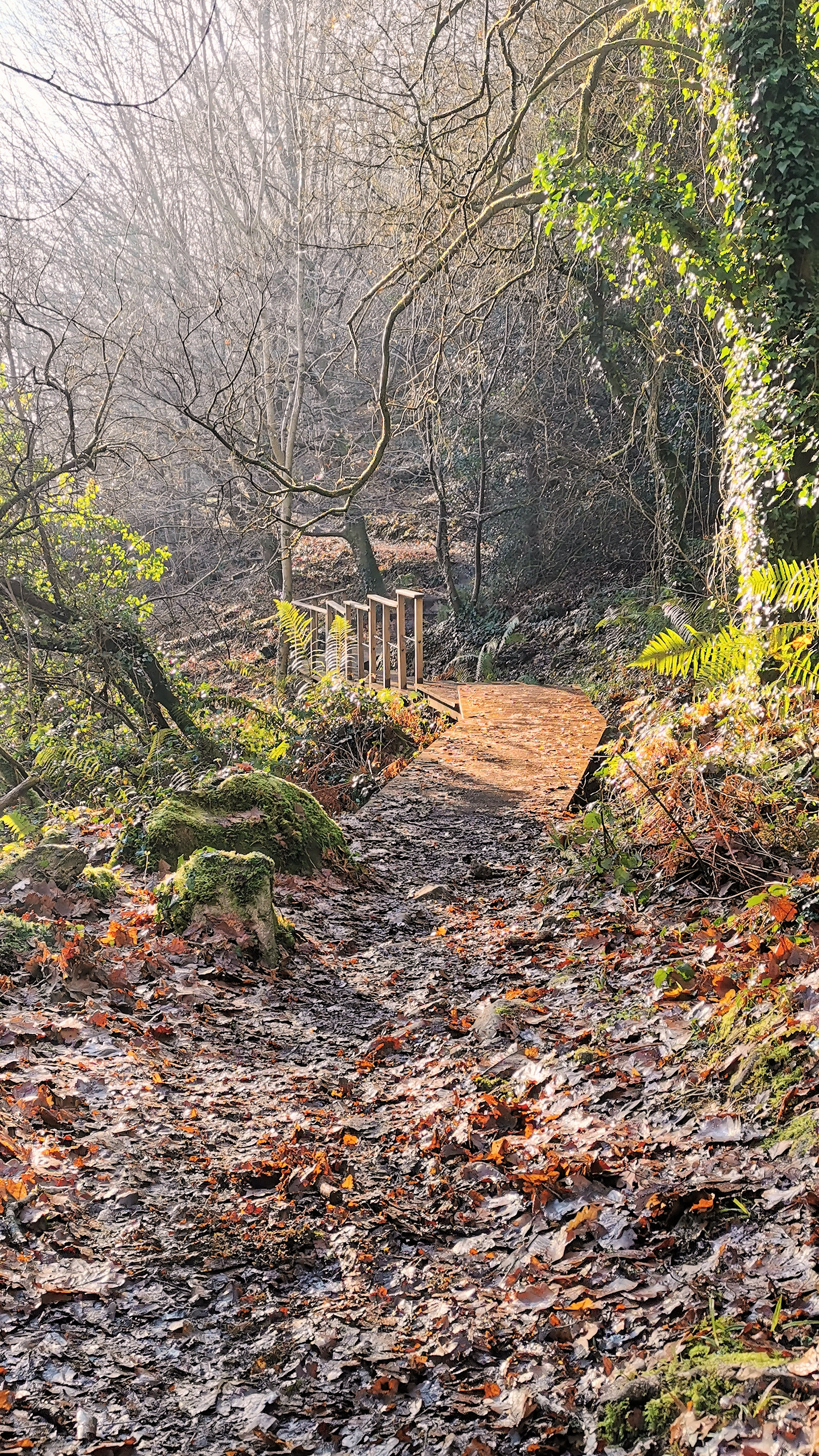 45-IMG_20210109_110449