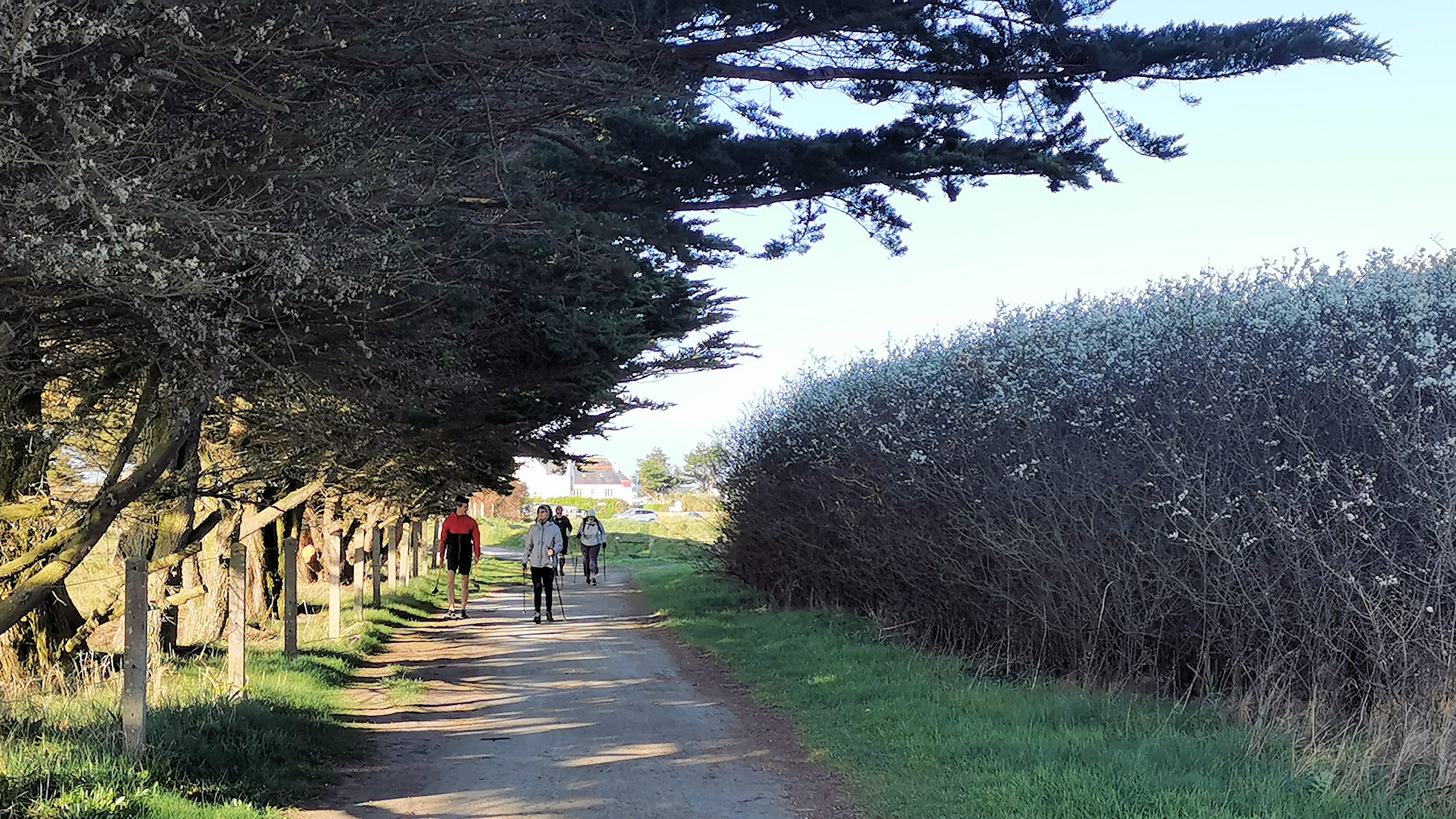 03-IMG_20210403_094144